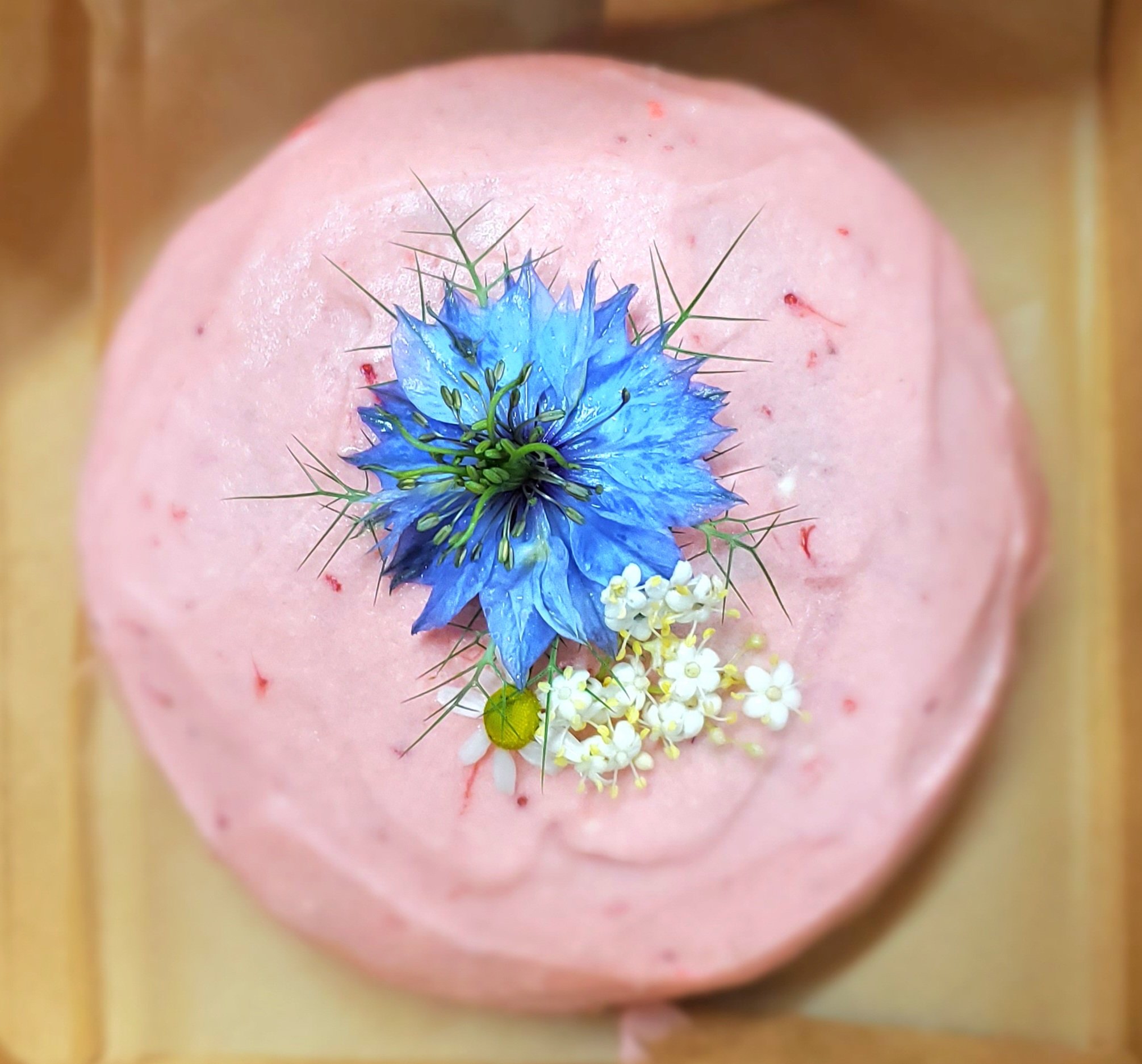 strawbcake.jpg