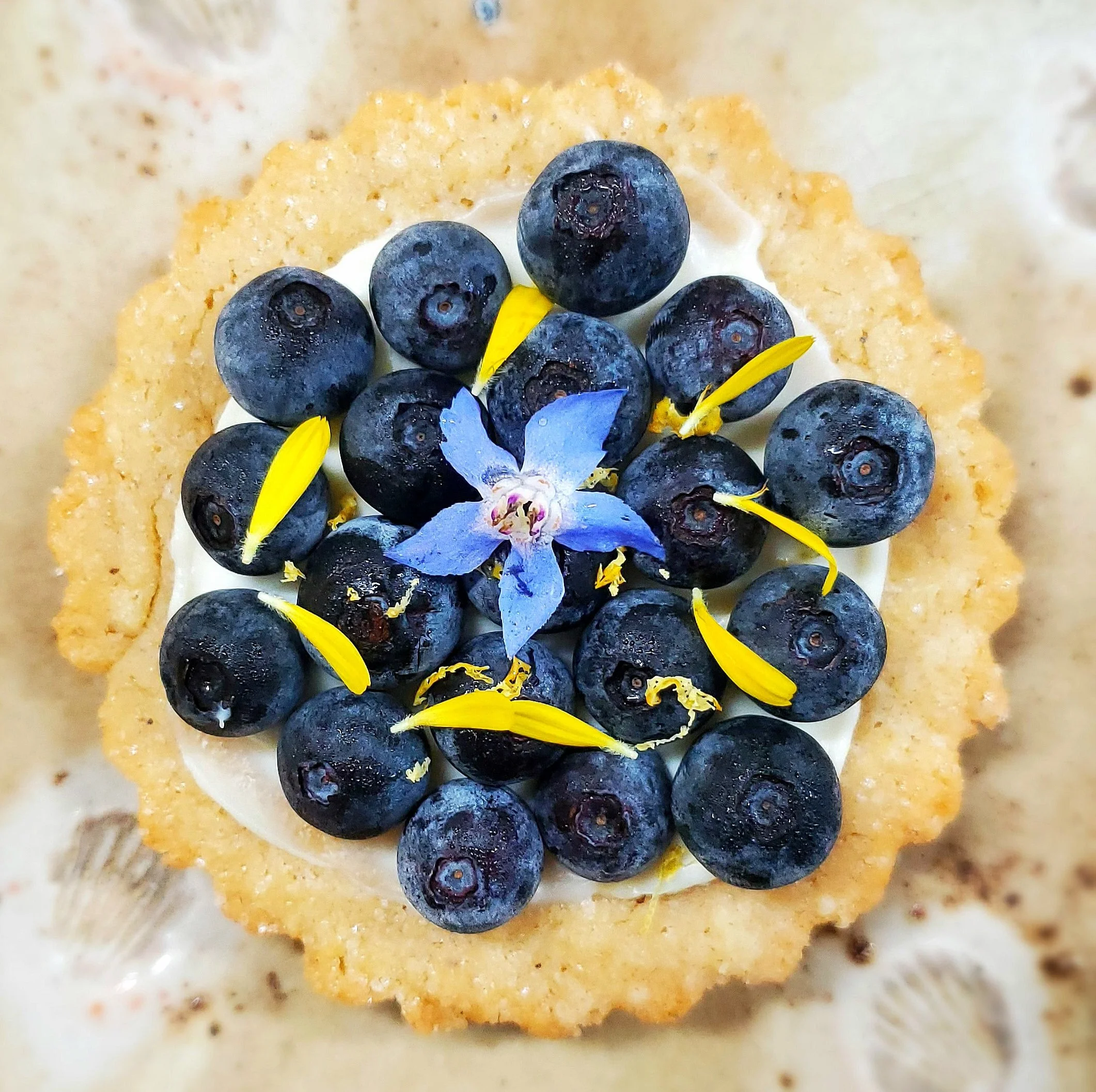 blueberrytartlet.jpg