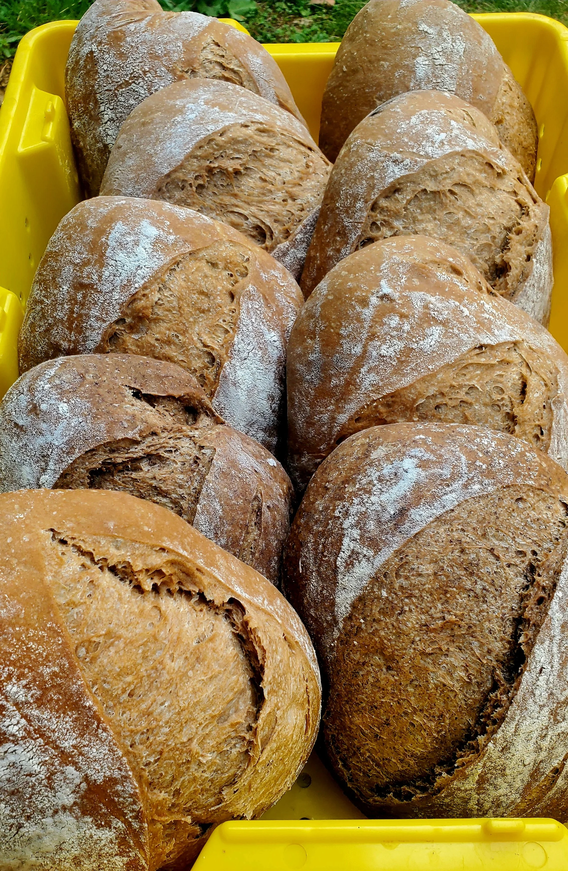 breads4.jpg