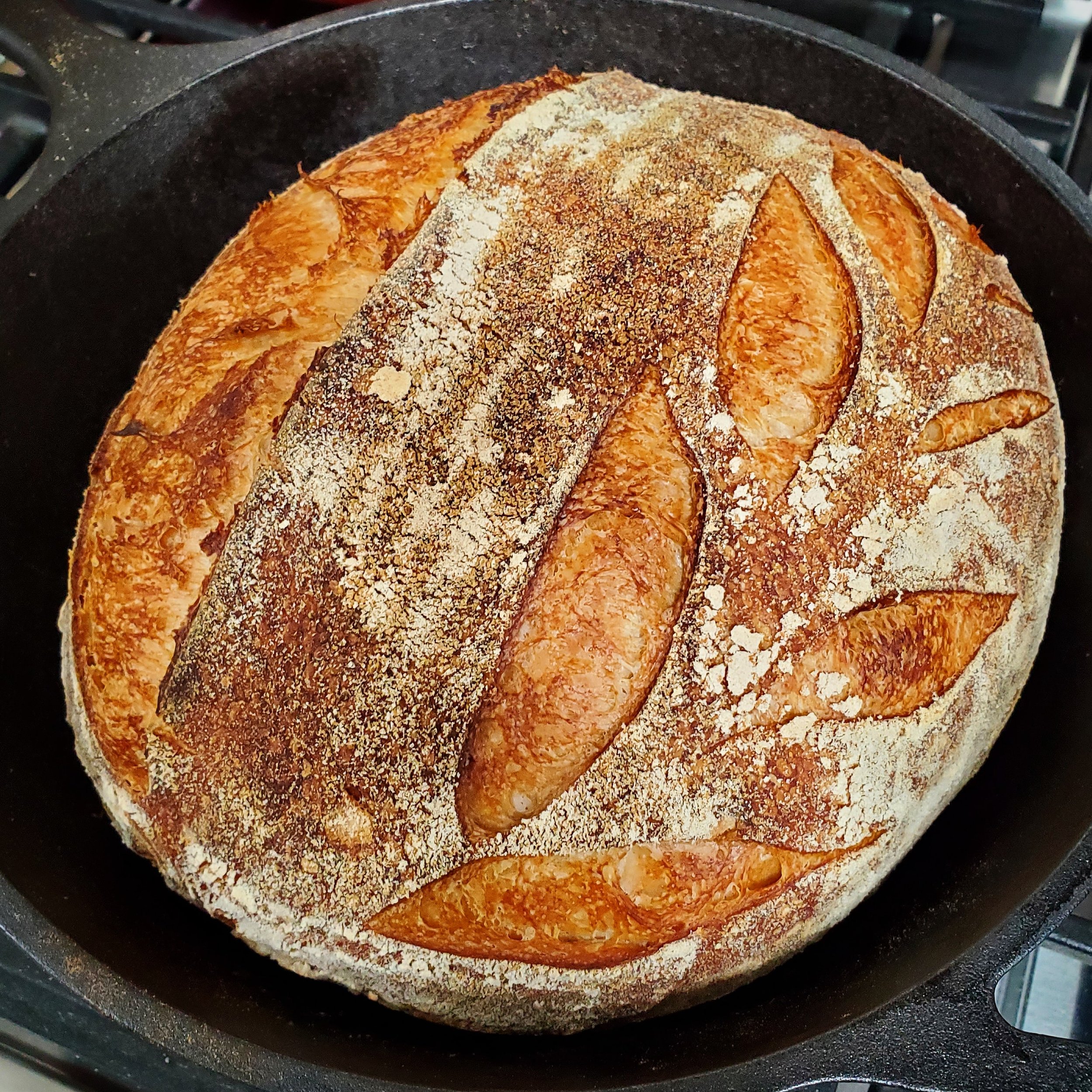 sourdough.jpg