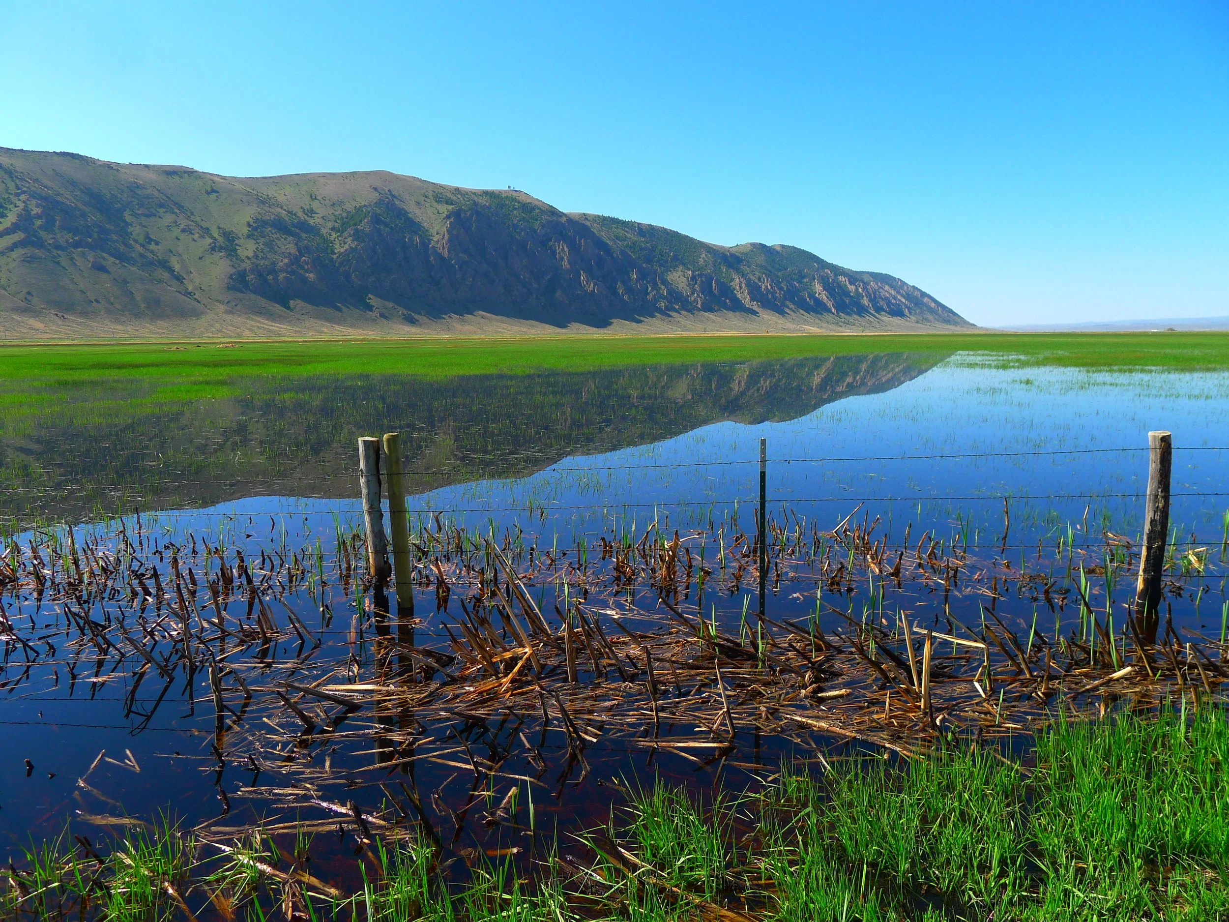 Upper Bear Wetland, The Nature Conservancy