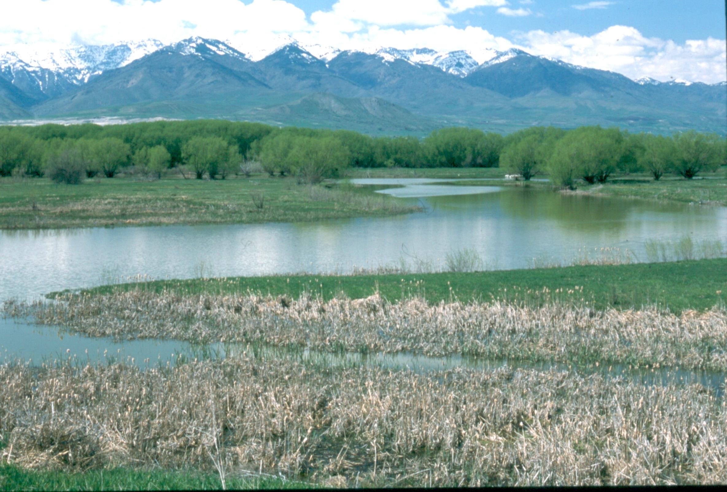 Bear River - Hal Malde, The Nature Conservancy