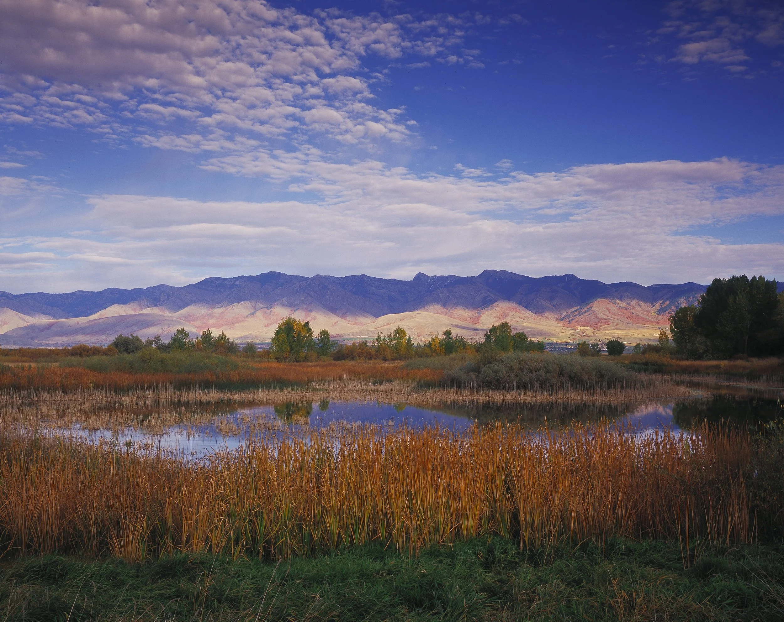 Bear River - Mulligan, The Nature Conservancy