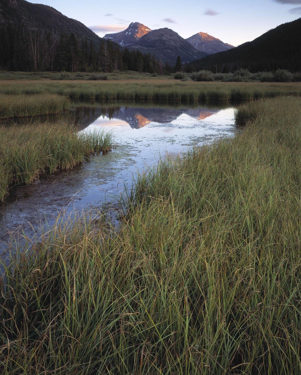 Christmas Meadow - Uintas, The Nature Conservancy