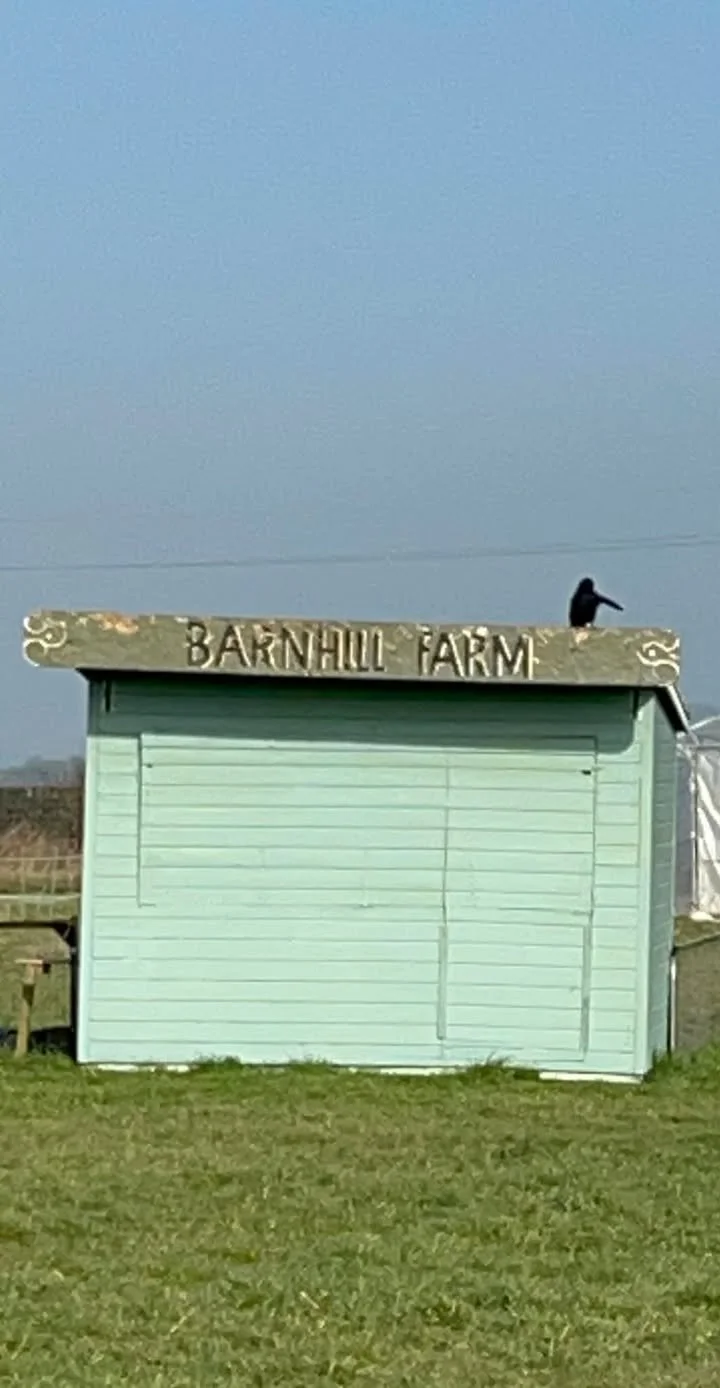 Barnhill Farm.jpg