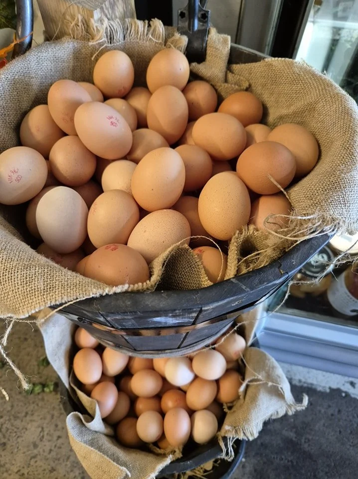 Eggs.jpg