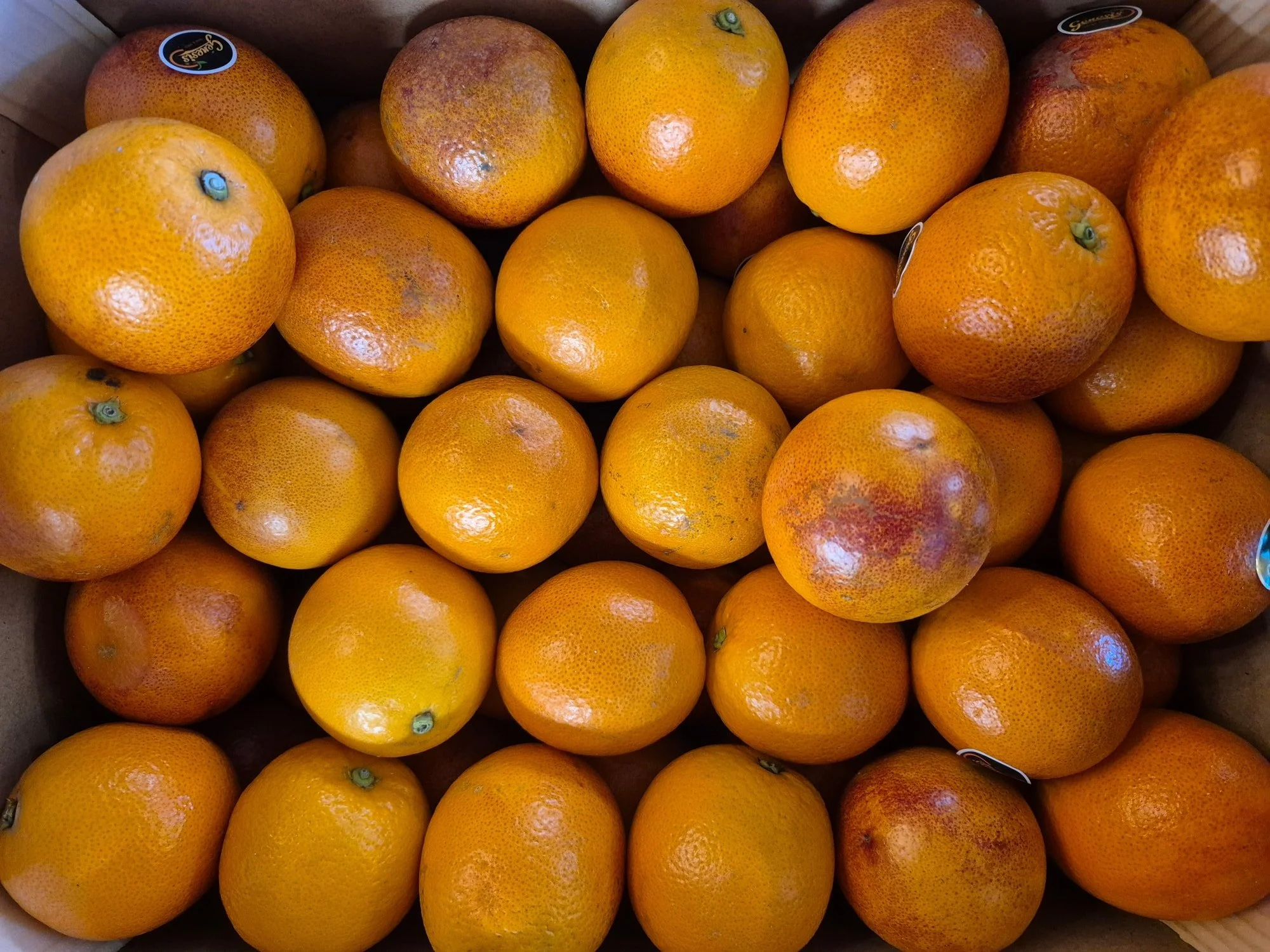 Orange Juice.jpg