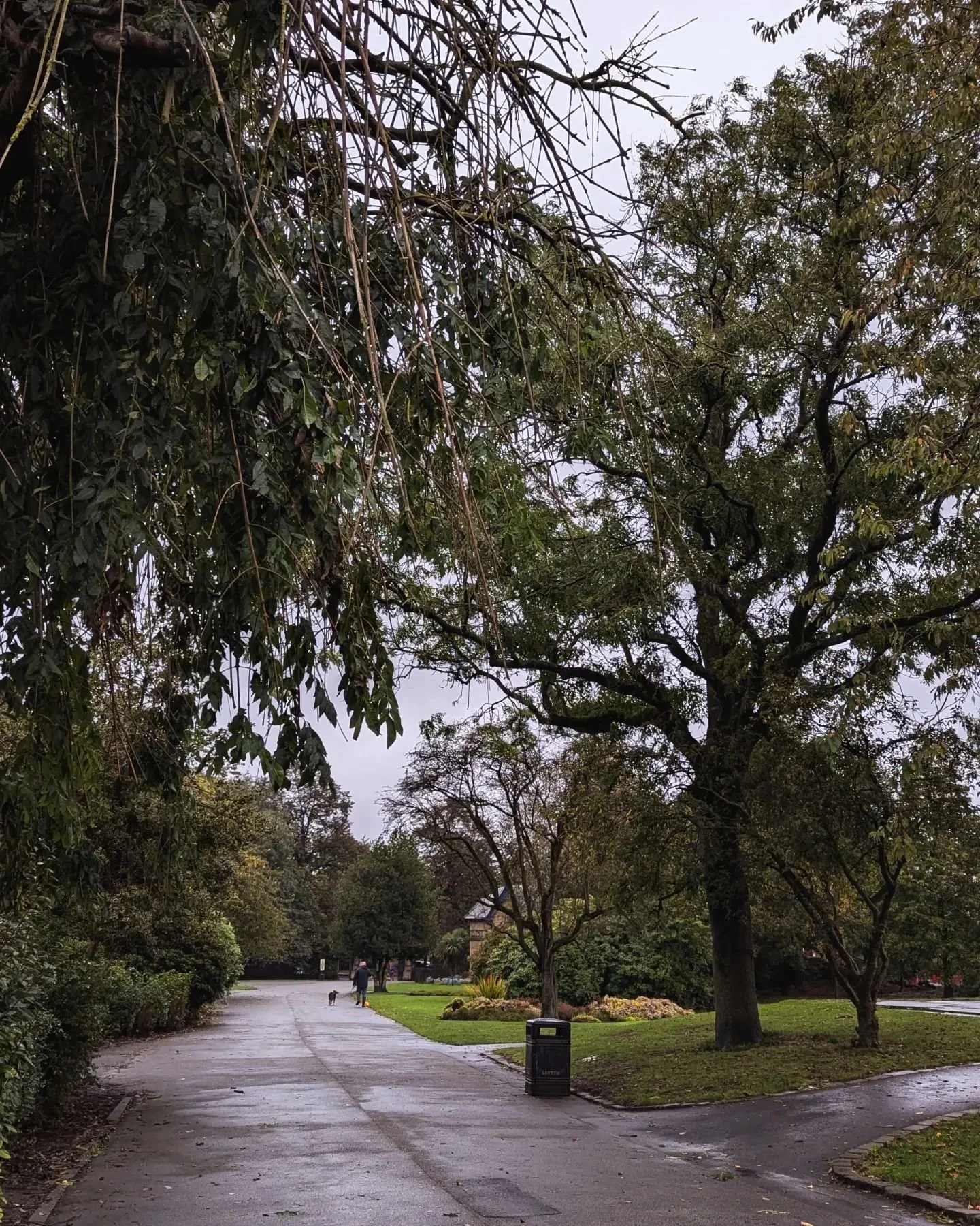 I took this dreary photo this morning. I dragged myself out because I've been feeling so exhausted and knew I needed exercise and daylight. And I managed to do 5k which is amazing considering my recent runs have been 3k. 

It proved to me that I'm me