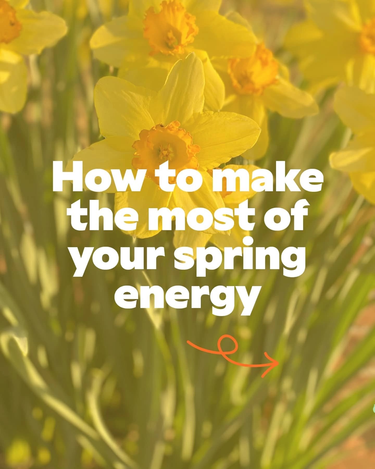 It's the first day of spring 🌸🌞

In my Spring Reset workshop next Monday (24th March), I&rsquo;ll walk you through how to go from feeling confused and ad-hoc about, to coherent and focused when working ON your business.

We&rsquo;ll look at which b