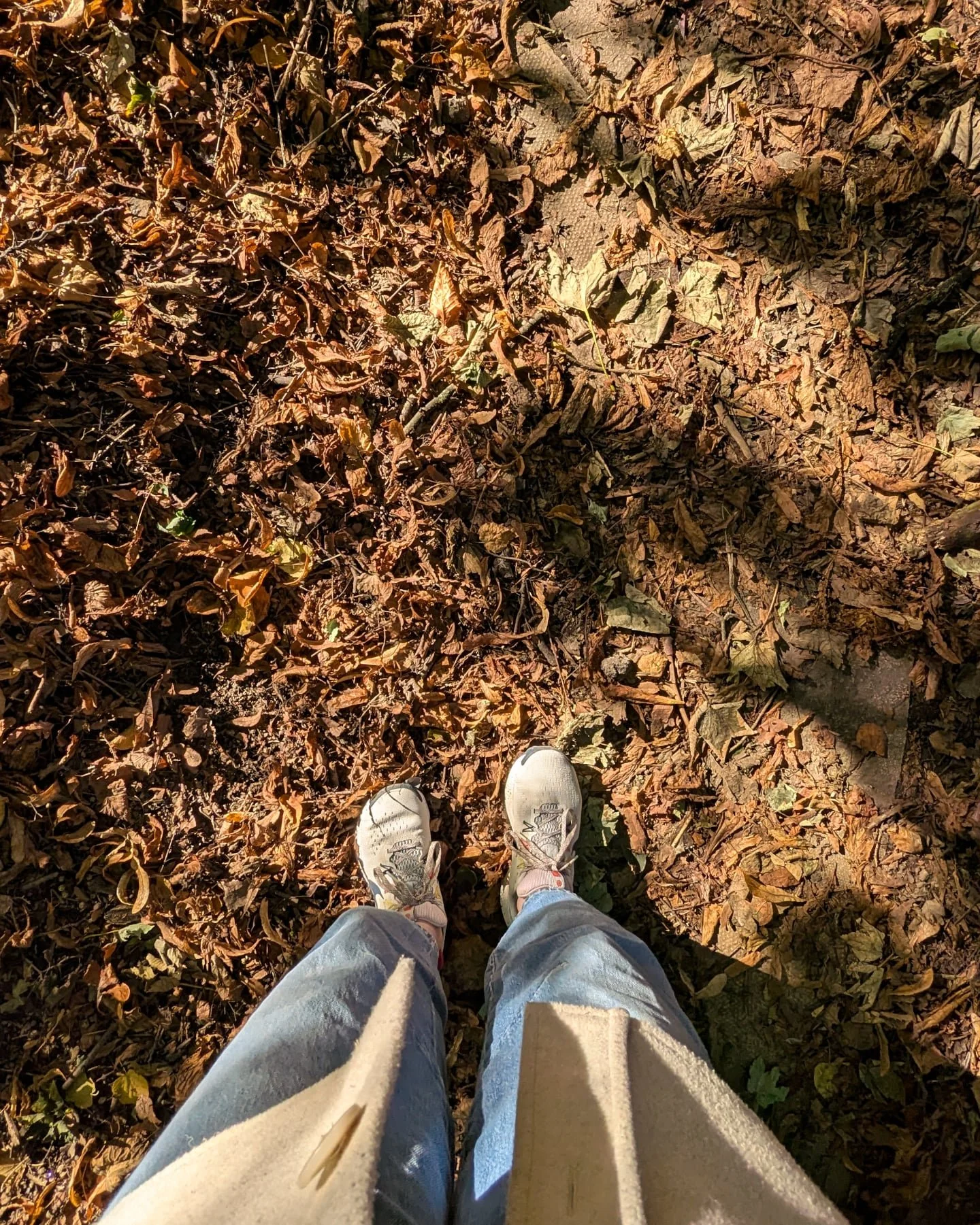 A question for you 🍂

How do you want autumn to feel in your business?

Restful? Productive? A mix of both?

I&rsquo;ve been asking myself the same thing while planning the Quarterly Planning session I run in my community. Having these four markers 
