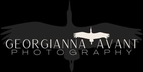 Georgianna Avant Photography