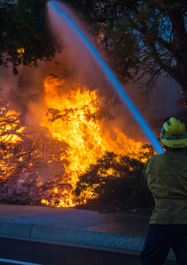 Wildfire 2.PNG