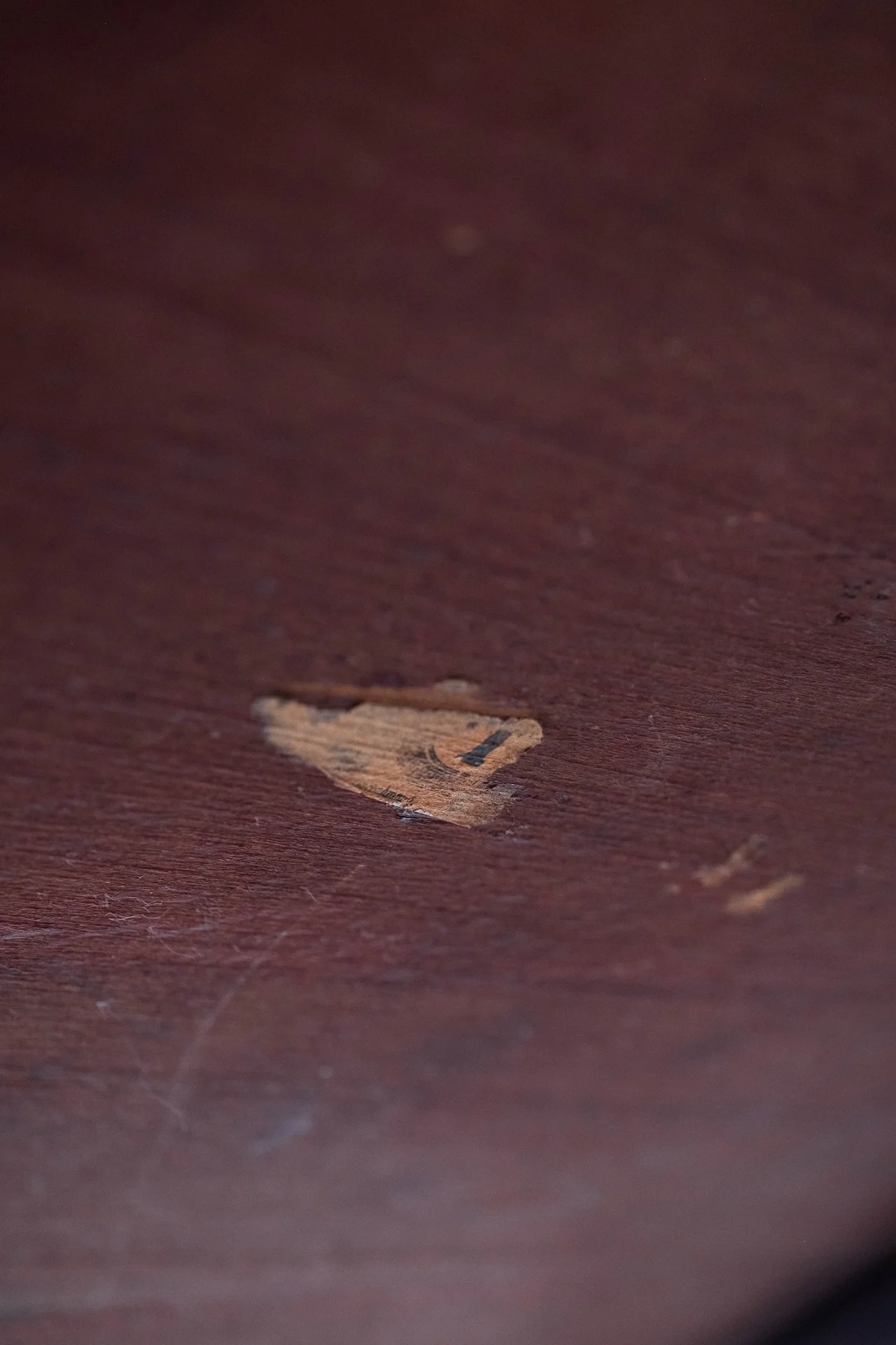 DSCF0274.webp