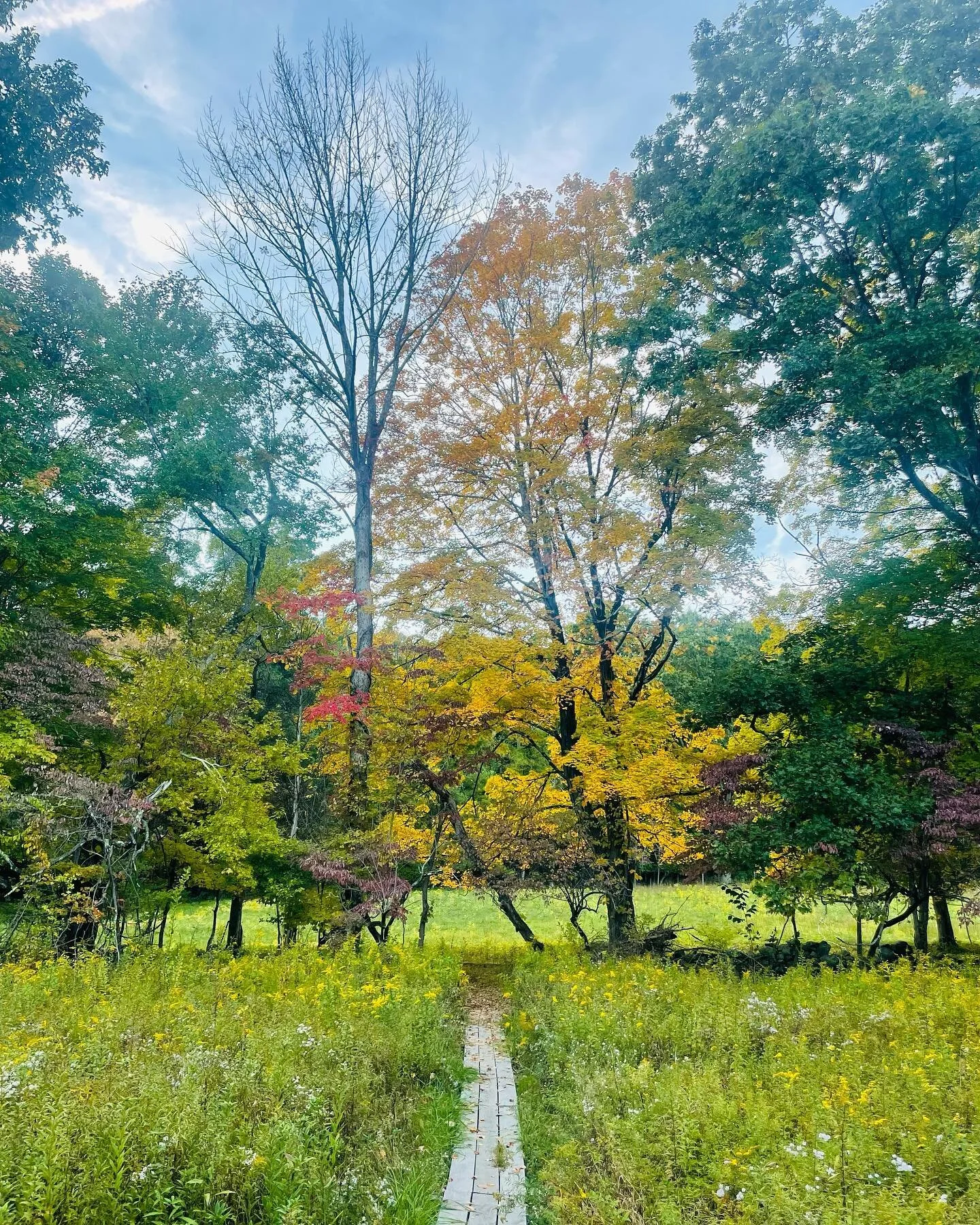 Our Preserves — Pound Ridge Land Conservancy