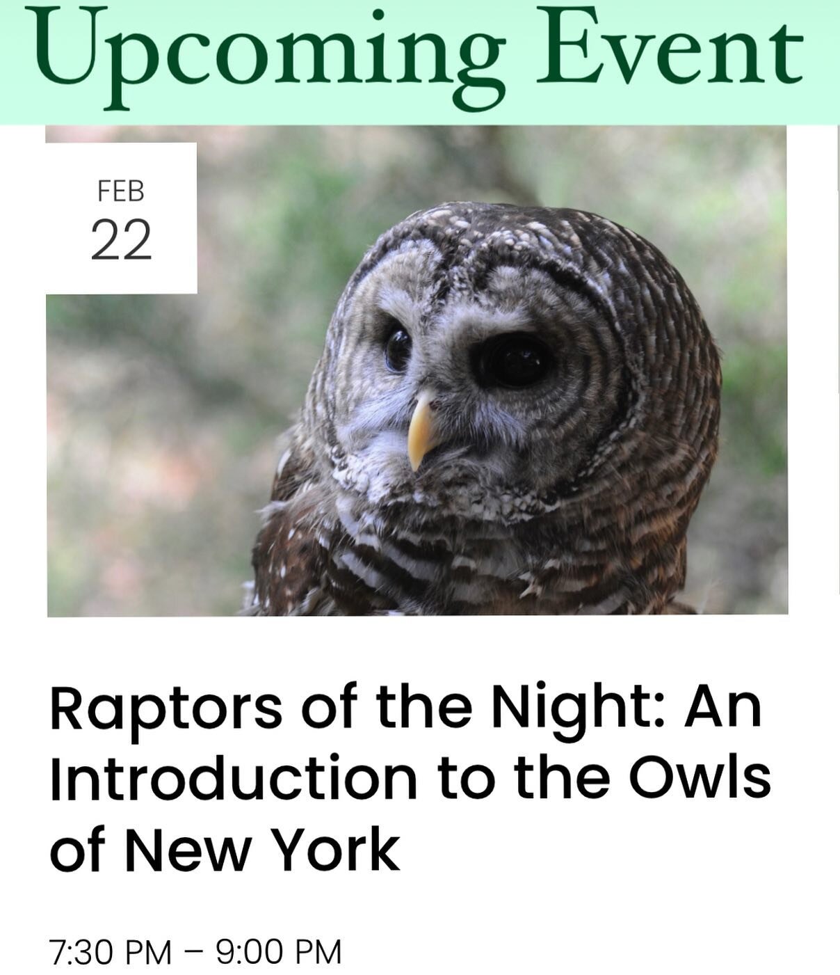 🦉JOIN PRLC on Wednesday, February 22nd at 7:30 pm for a special Zoom event about our local owls. Register at the link in our bio 🔗
 
Owls (Order: Strigiformes) are a nearly cosmopolitan group of primarily solitary, nocturnal birds of prey. Frequent