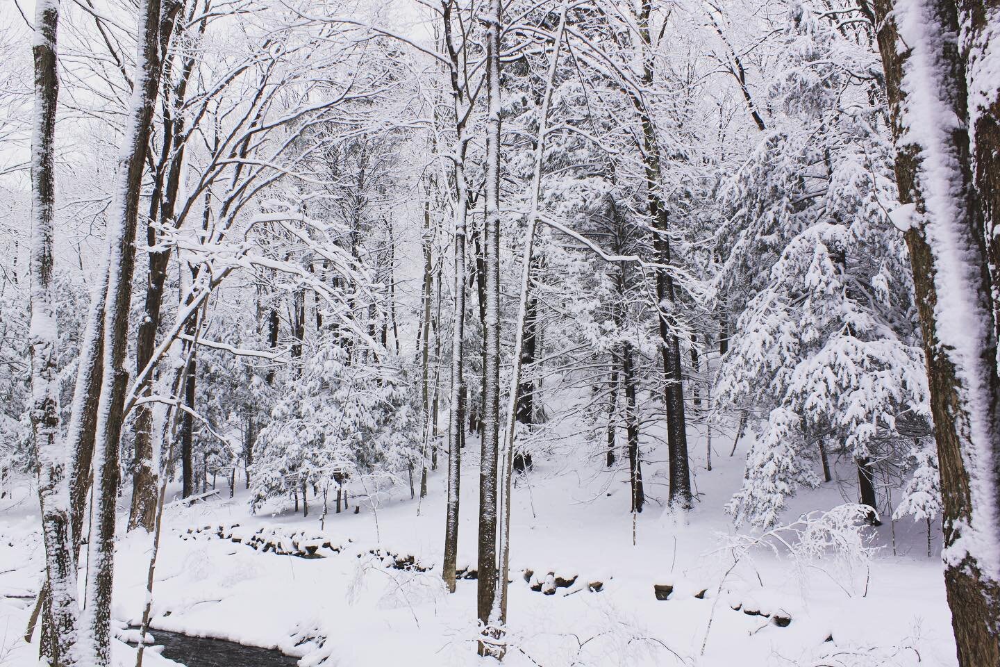 ❄️ Finally a snow day here in Pound Ridge! ❄️ A reminder to always exercise caution if you do plan to get outside and enjoy our winter wonderland. ☃️🌨️