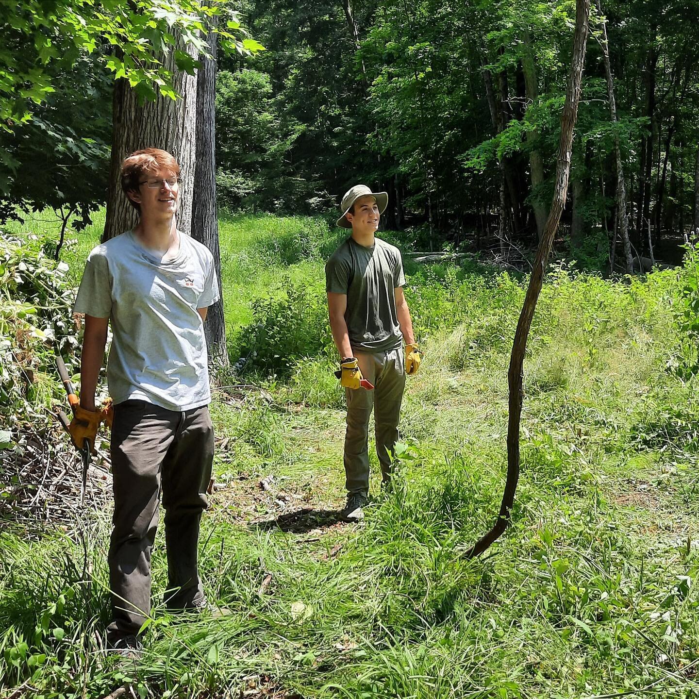 🌿Summer Internship Opportunity🌿 PRLC is now accepting applications for our annual Summer Preserve Steward Internship. Apply by May 19. 

Spend your summer learning about trail maintenance, invasive species management, ecological monitoring, and mor