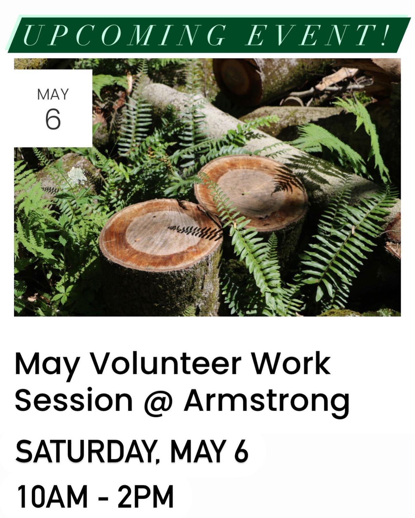 🌳👷&zwj;♀️👷Join us at the Armstrong Preserve on Saturday, May 6 at 10AM for our first volunteer work session of the year! And meet our new #landsteward @dave_prosser 🌳🪚🪓

All are welcome. We&rsquo;ll be focusing on invasive species removal in th