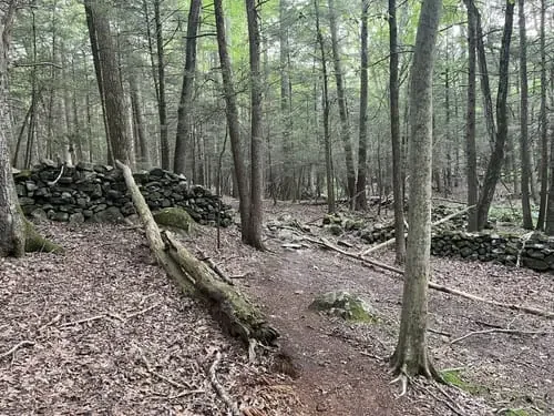 April Volunteer Work Session