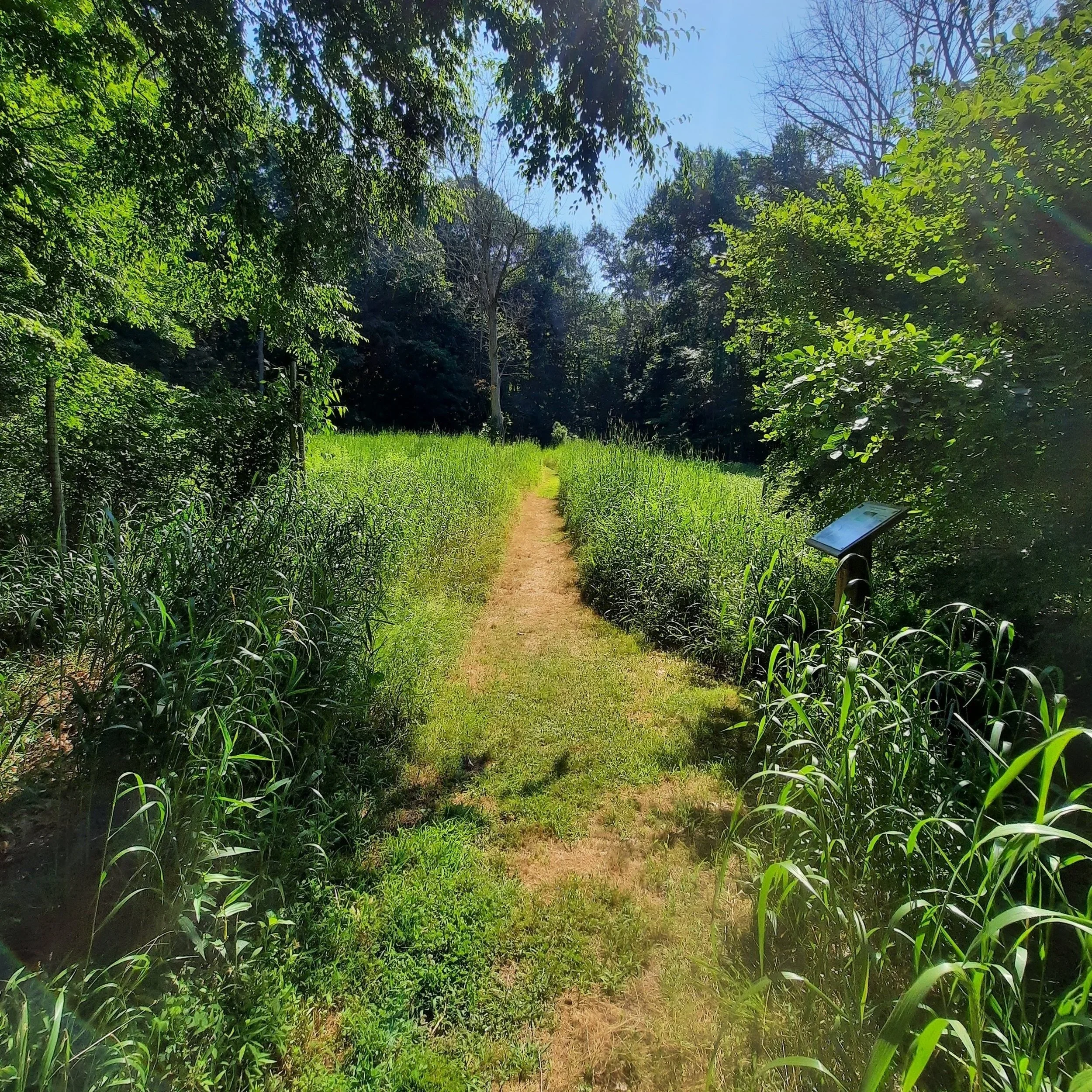 May Volunteer Work Session