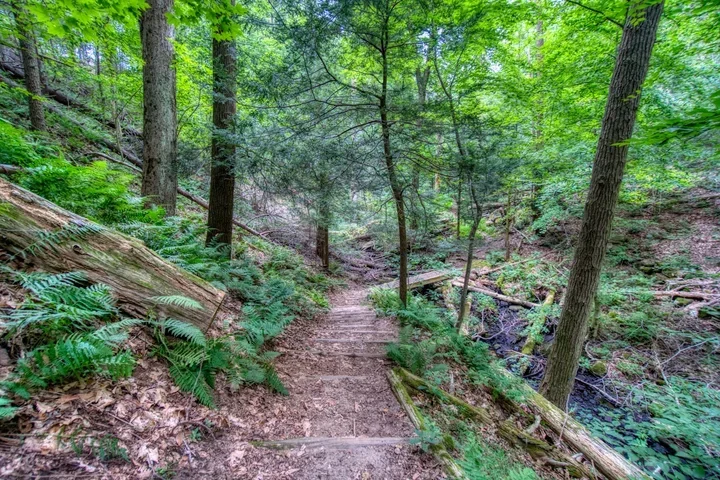 July Volunteer Work Session