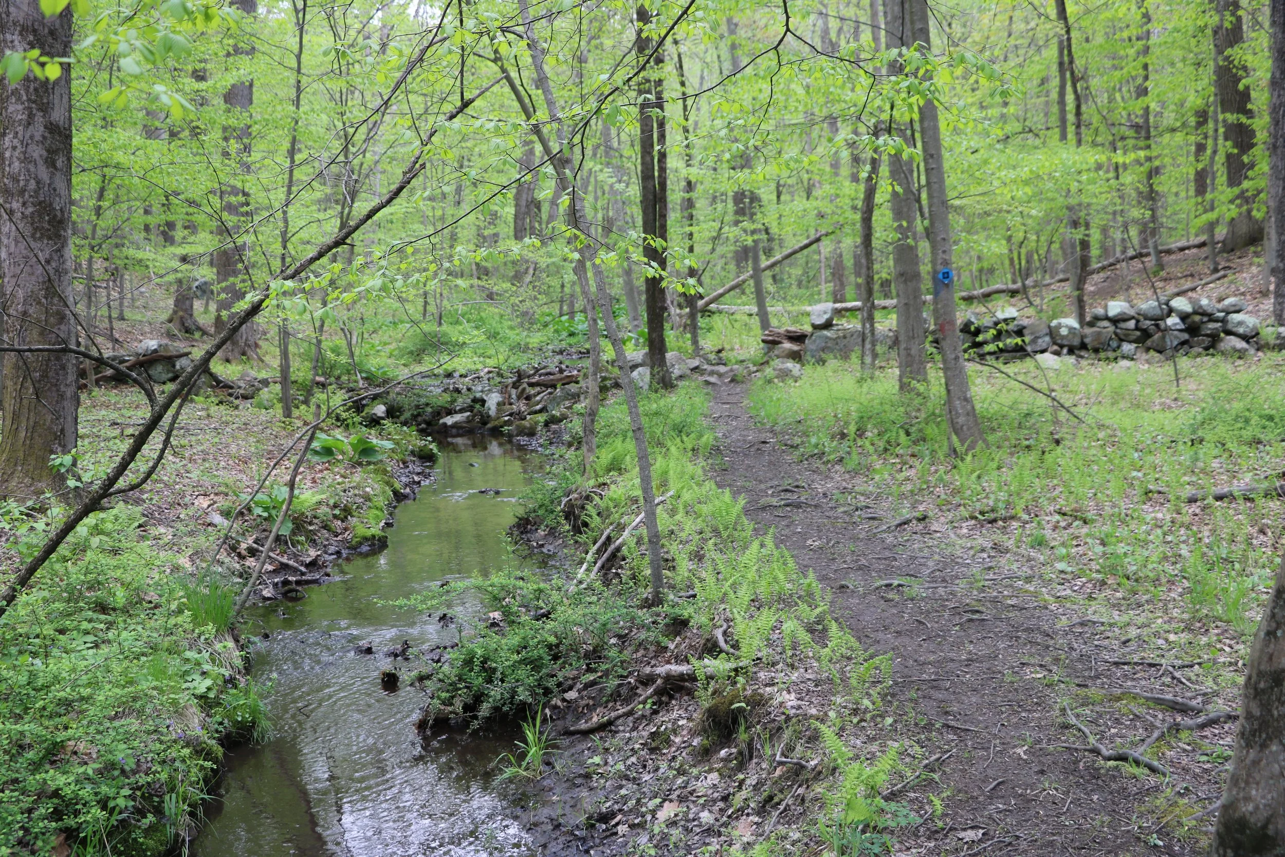 About — Pound Ridge Land Conservancy