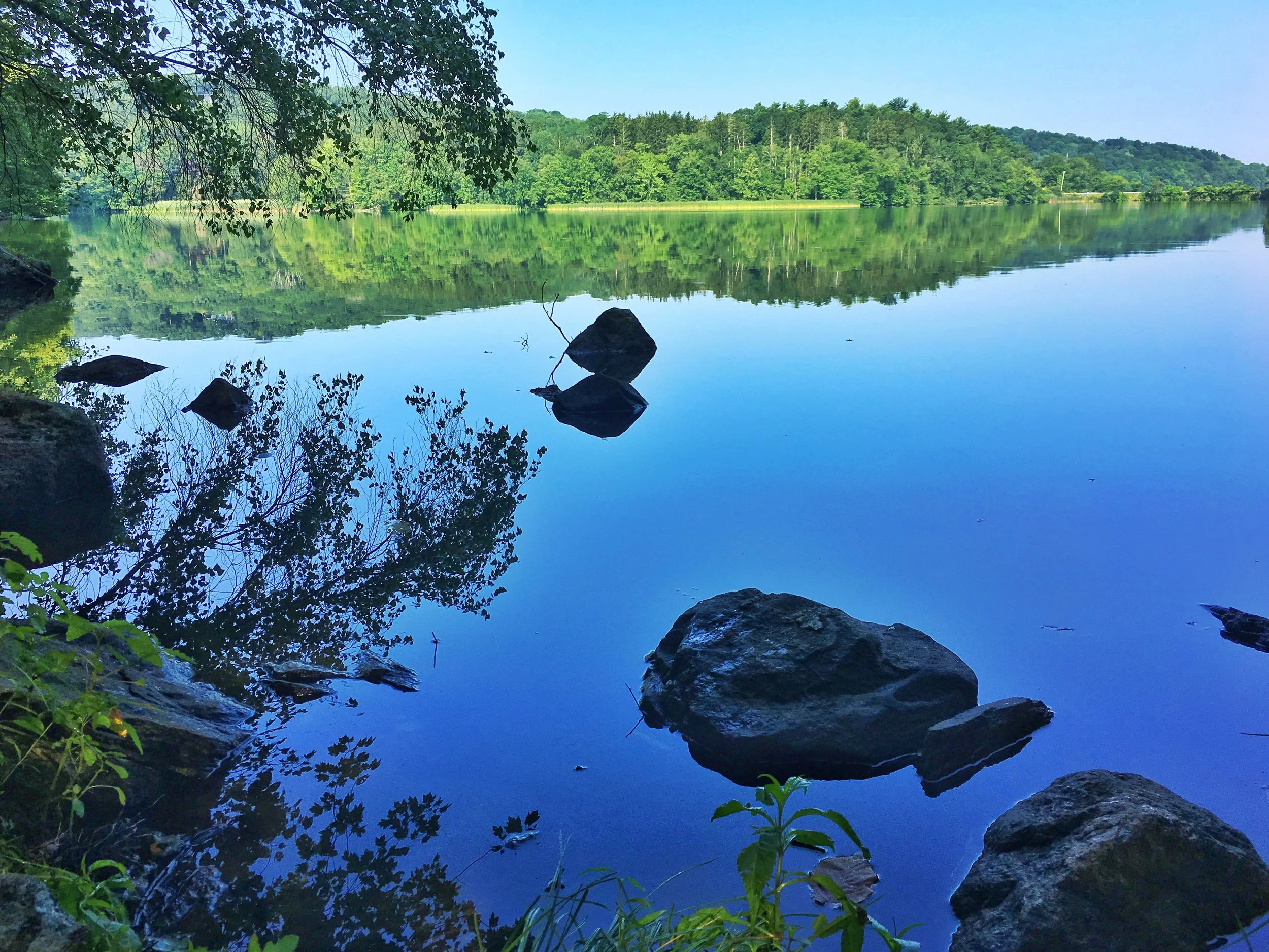 Armstrong Preserve — Pound Ridge Land Conservancy