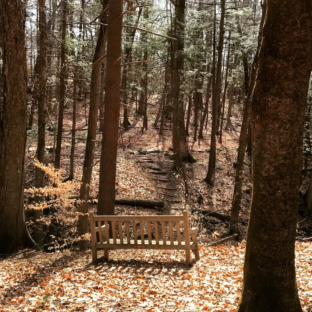 Donate — Pound Ridge Land Conservancy