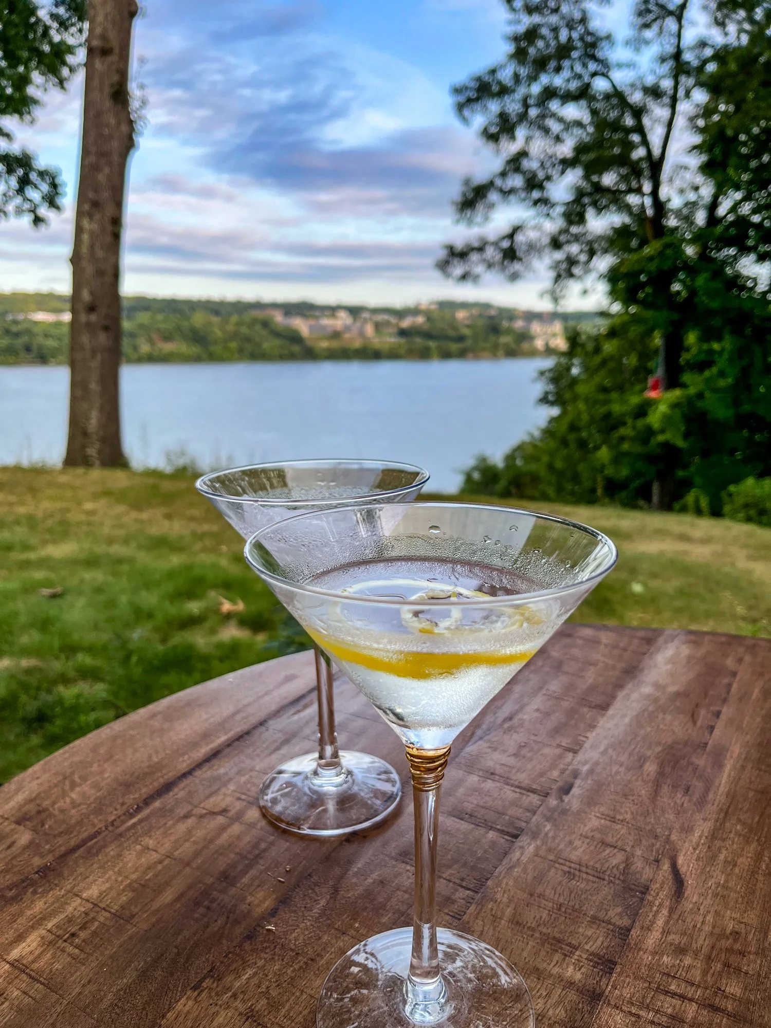 A drink by the Hudson River.jpg