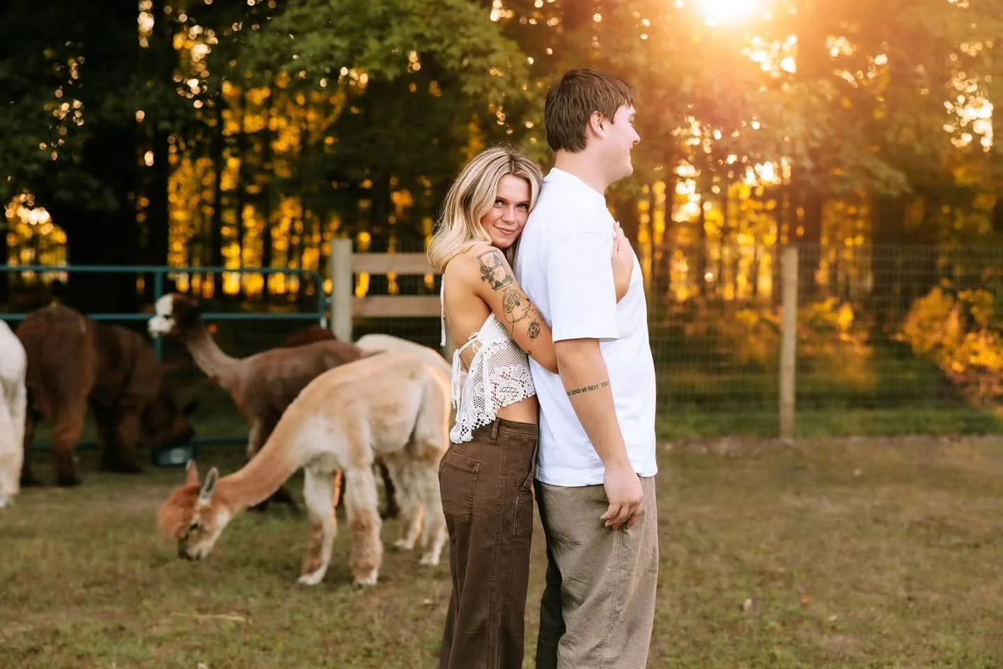 Huge shout out to @northernblessingsalpacas for letting us visit for the most magical engagement session with their sweet alpacas. ❤