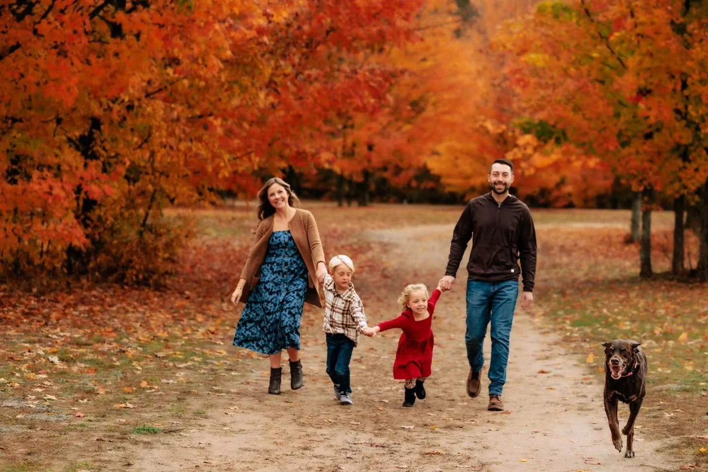 Don't forget to book your fall sessions! Minis are open and full session openings are almost full. 🍂