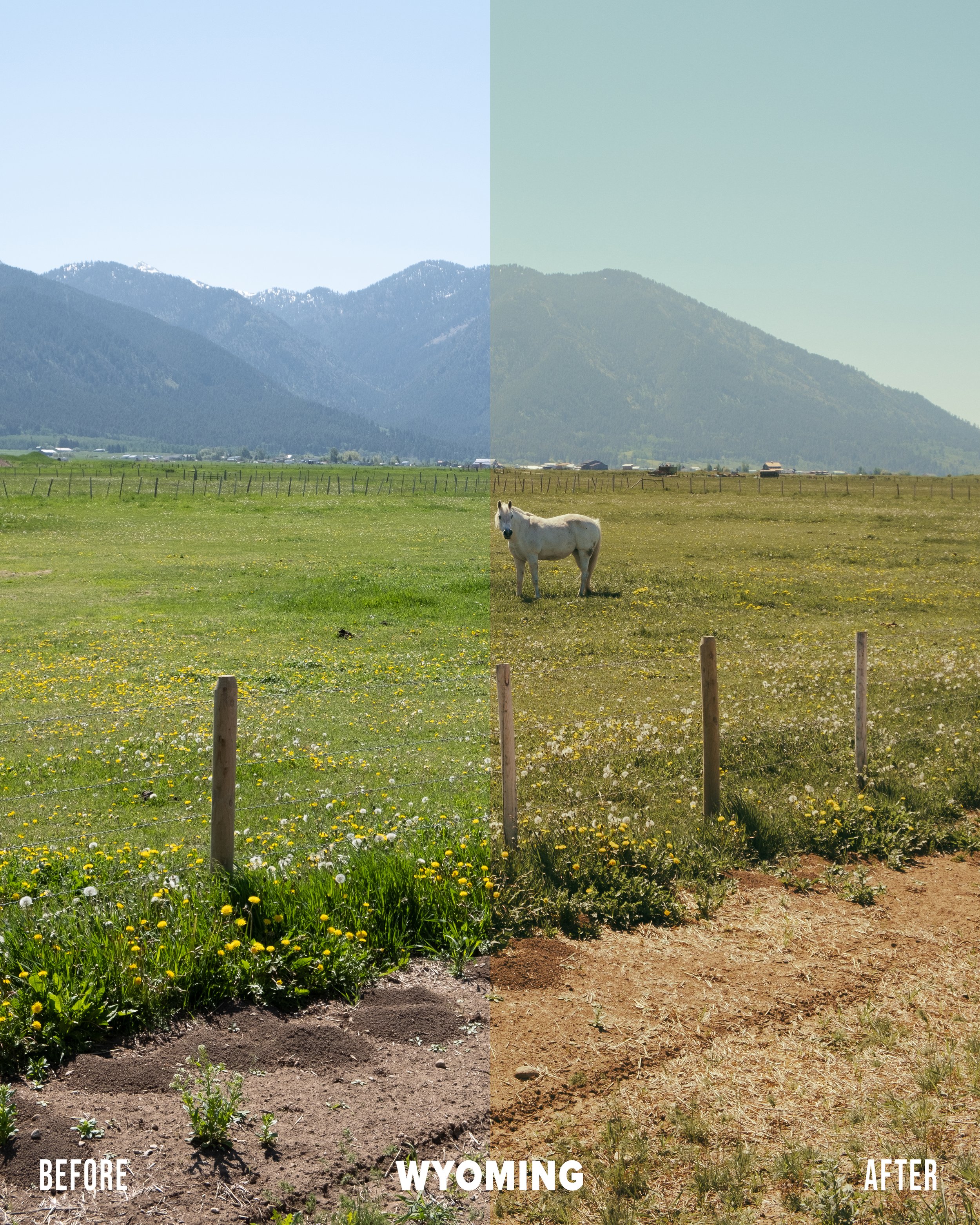 WYOMING-EXAMPLE01.jpg