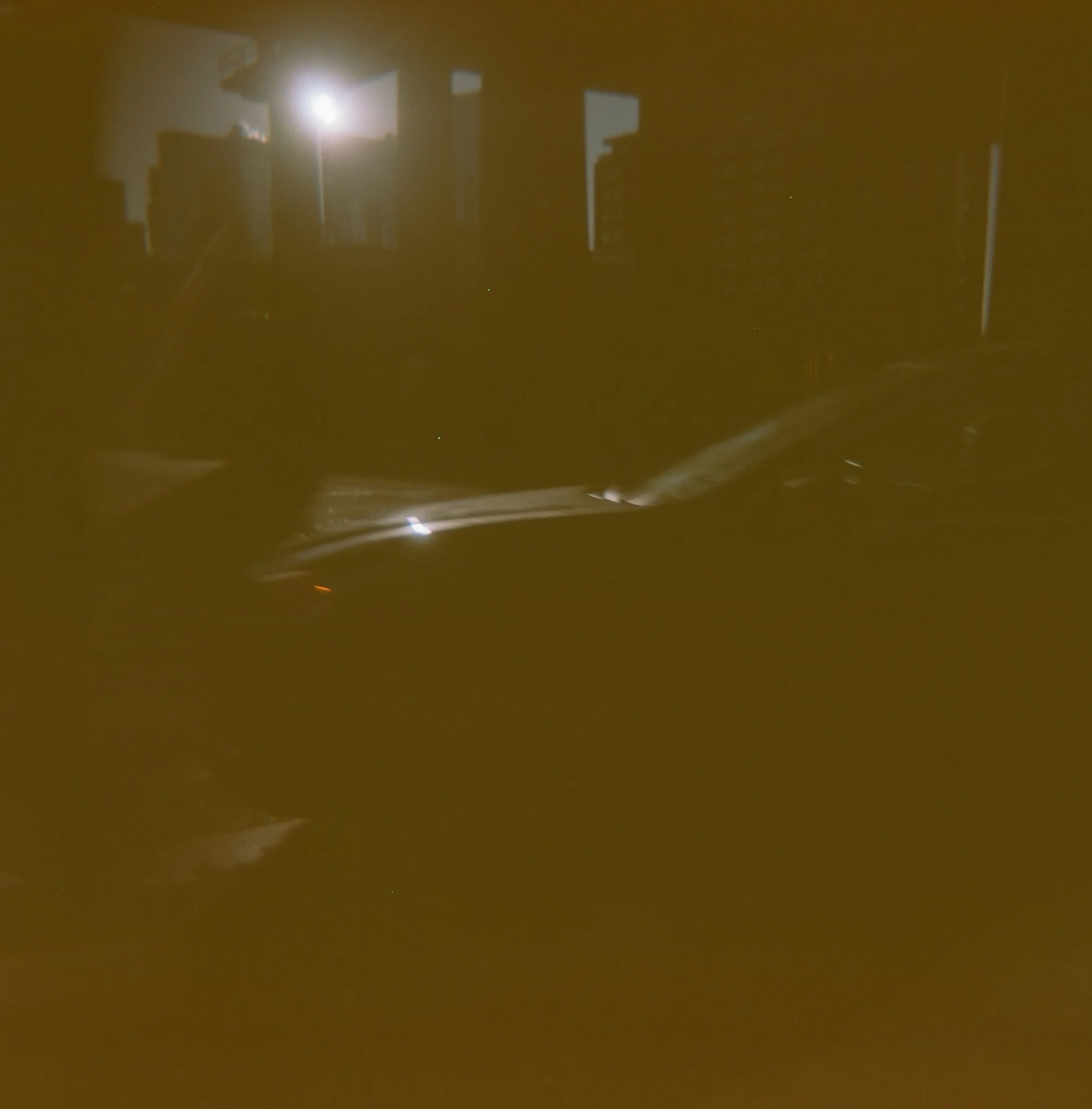 03-01-26-Williamsburg Bridge Photo Walk with Holga-Lizzy Rollins_web09.jpg