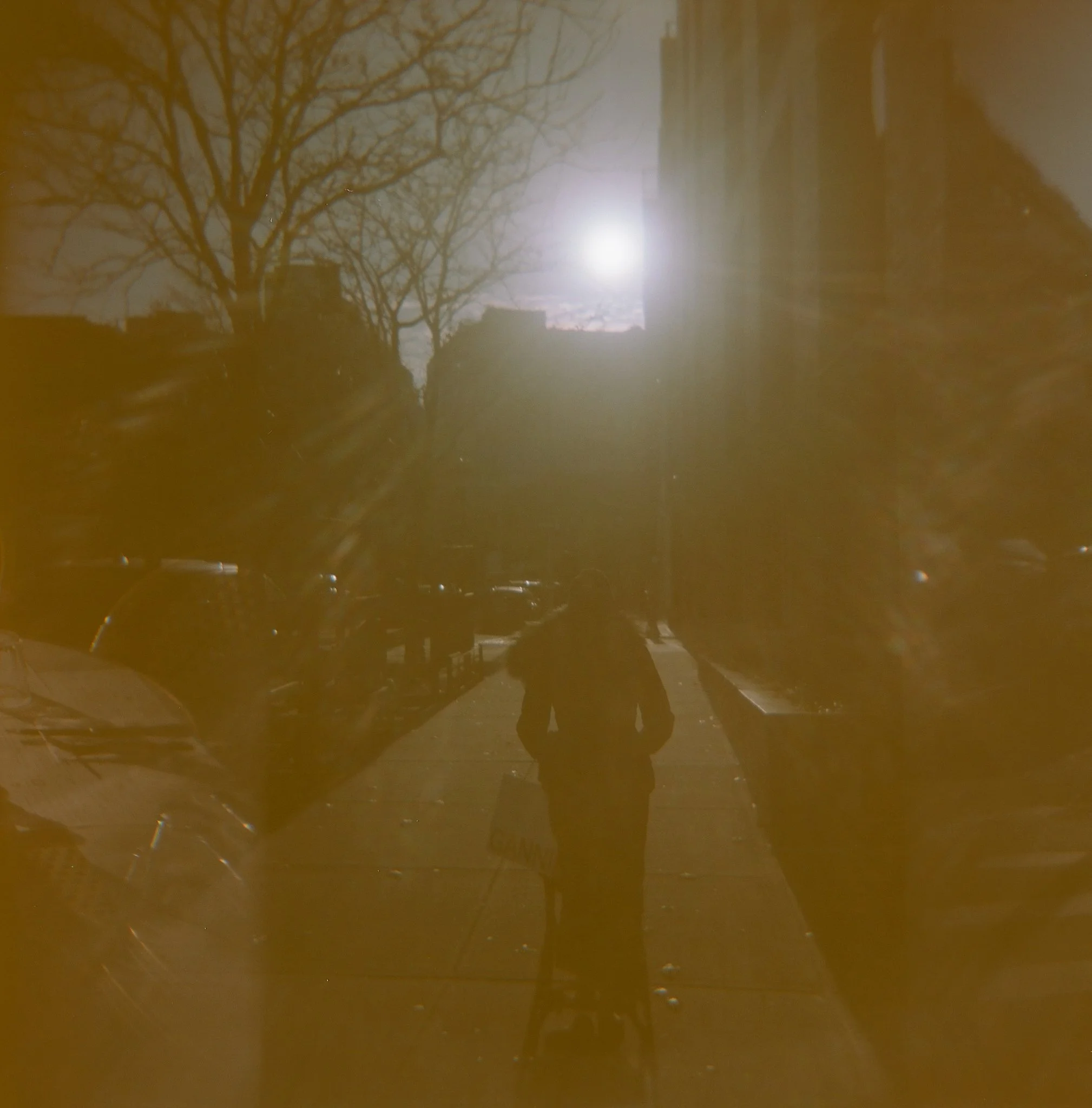 03-01-26-Williamsburg Bridge Photo Walk with Holga-Lizzy Rollins_web14.jpg