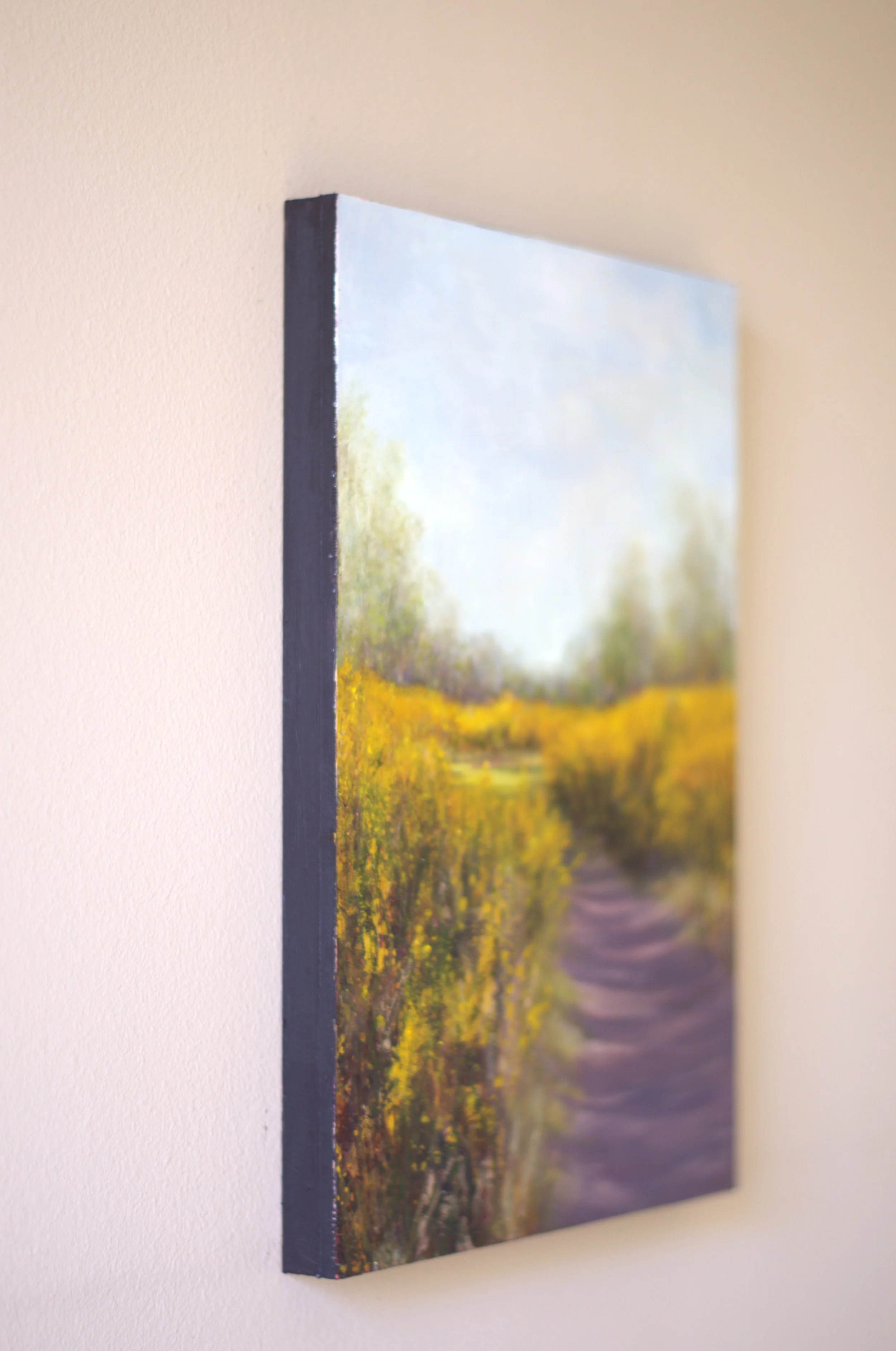 4 under gorse skies shadows soften side view.jpg