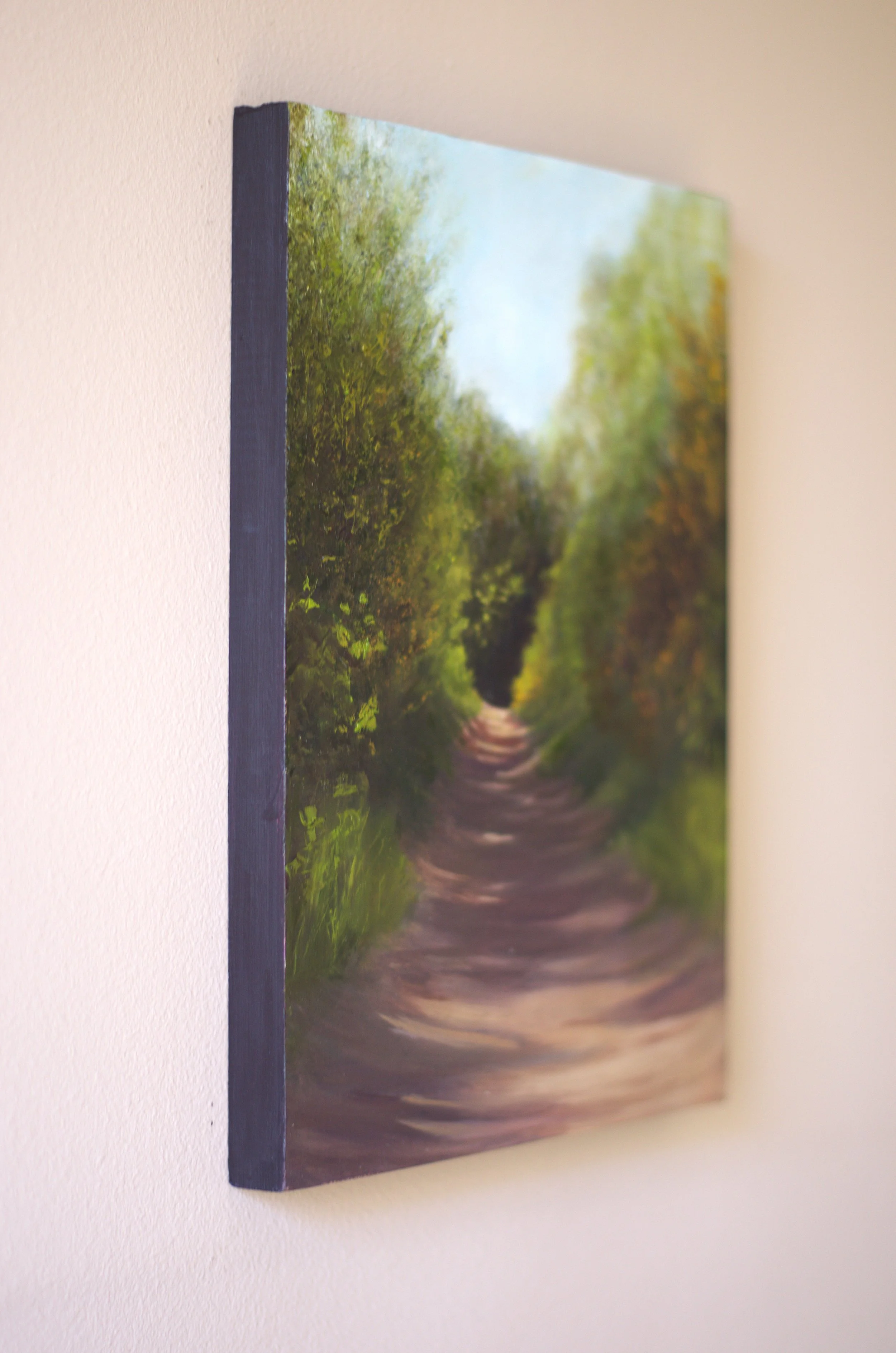 through light and shadow side view.jpg