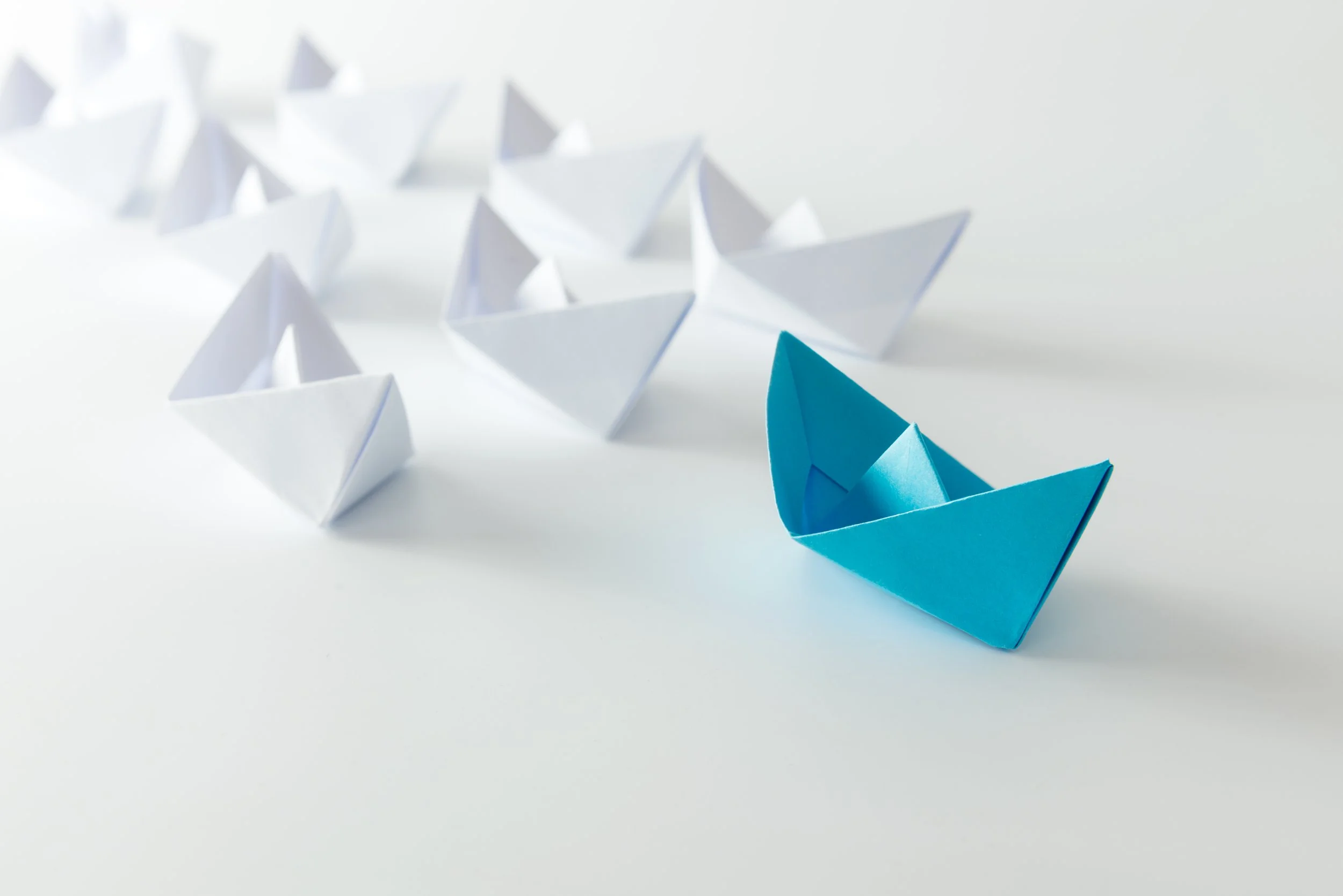 Leadership For Business and Code Professionals