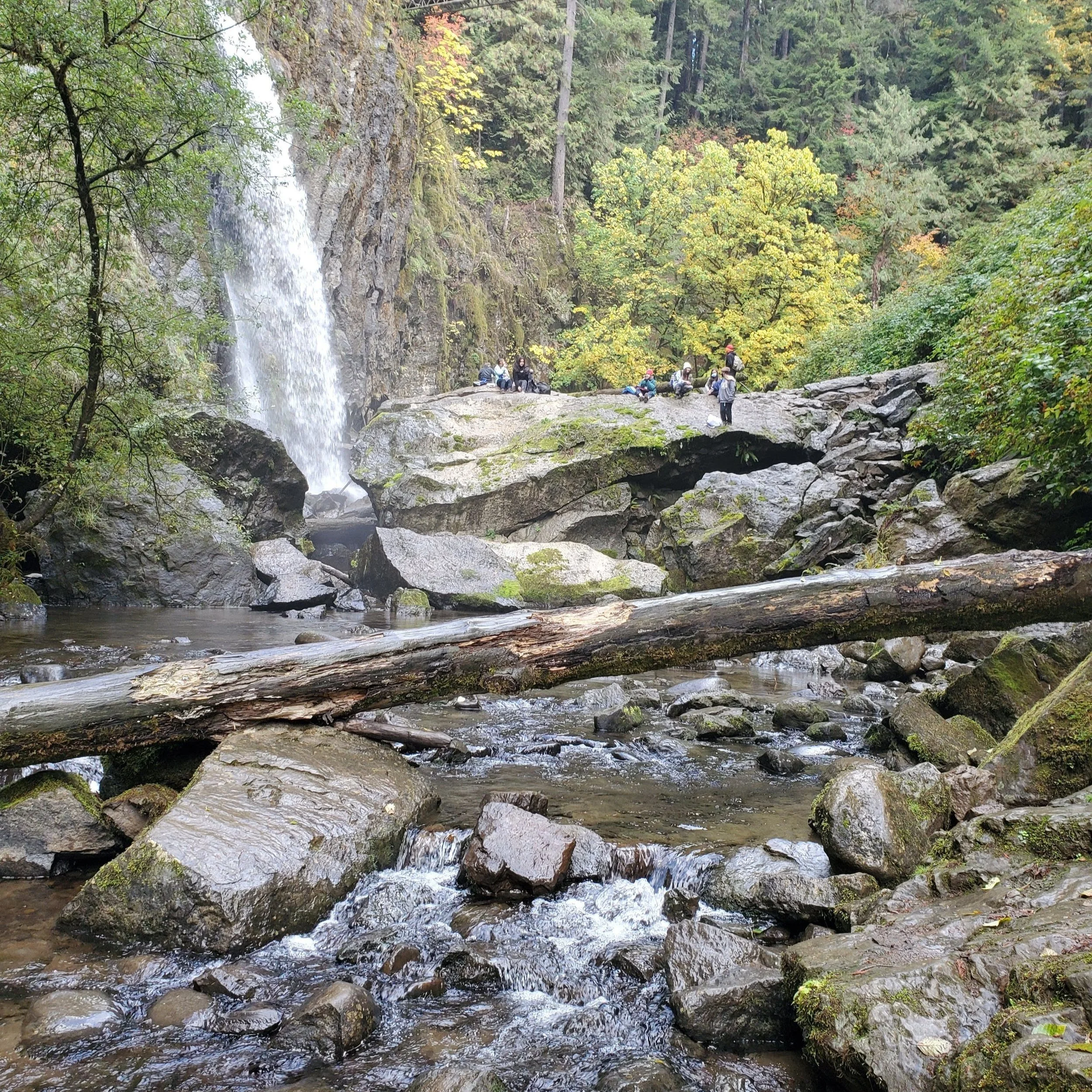 20211018_120651.jpg