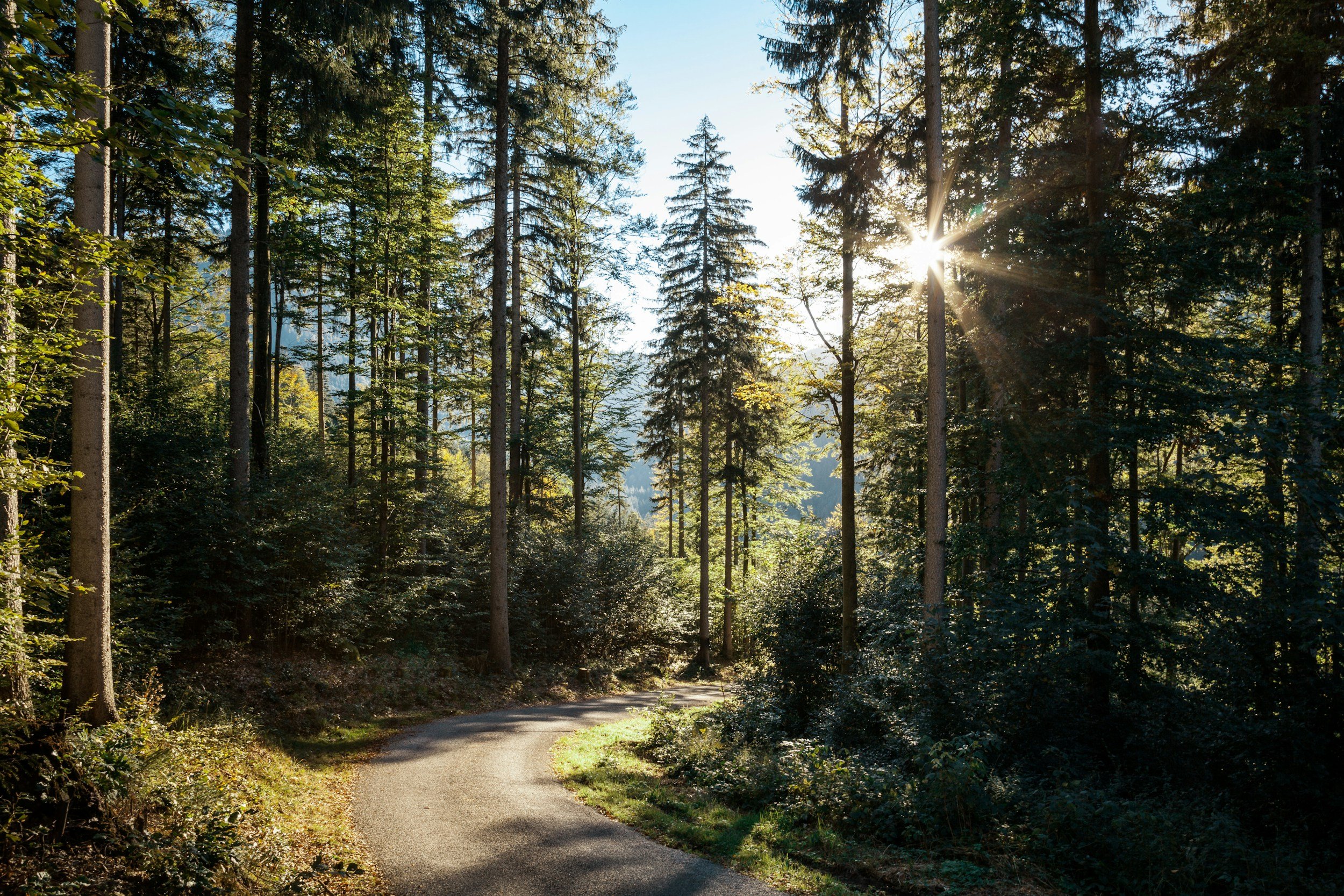unsplash-image-14tCRGEtQ7k.jpg