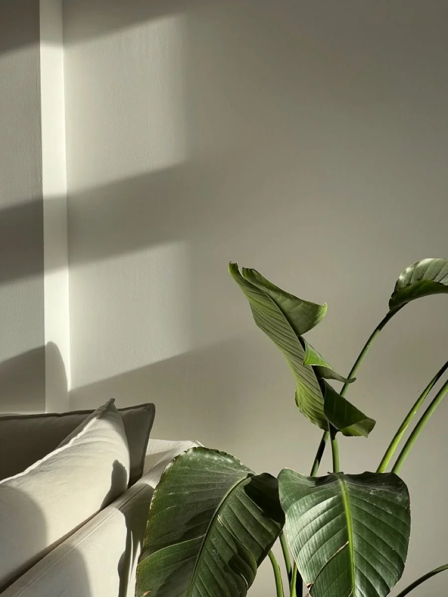 In person holistic therapy office at Humanistic Health Psychotherapy