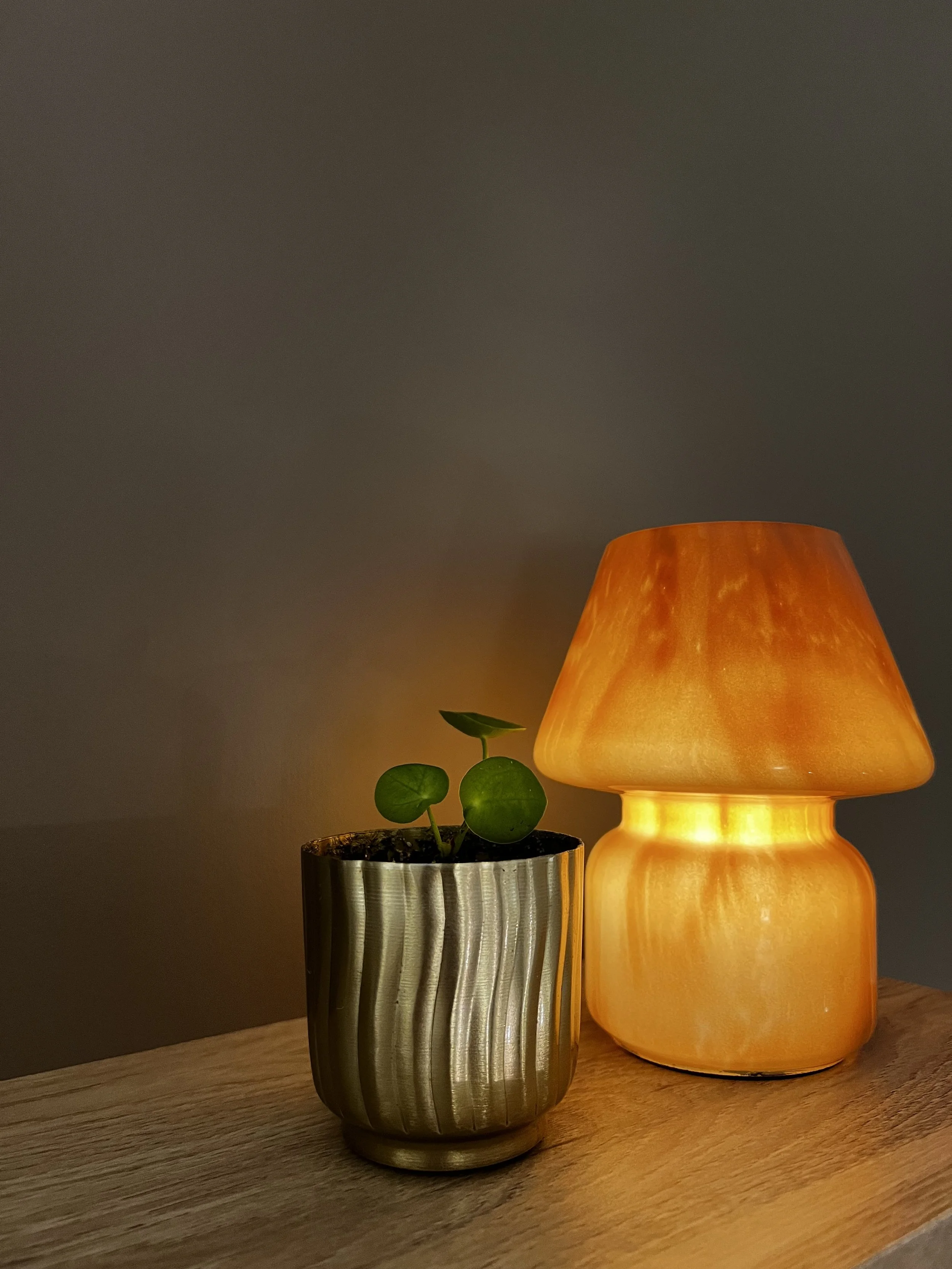 A small green plant in a metallic pot next to an orange glowing lamp on a wooden surface.