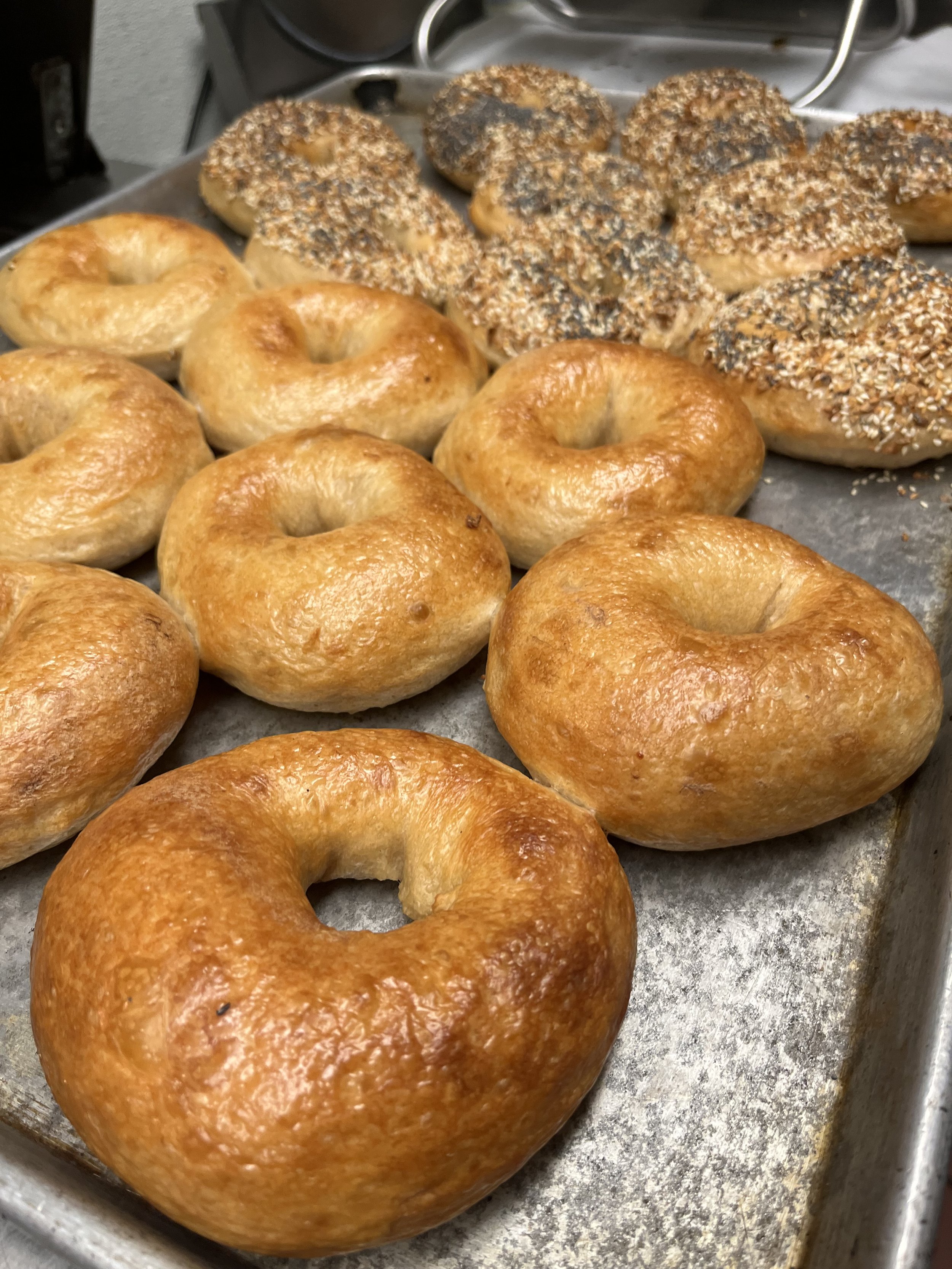 sourdough bagels