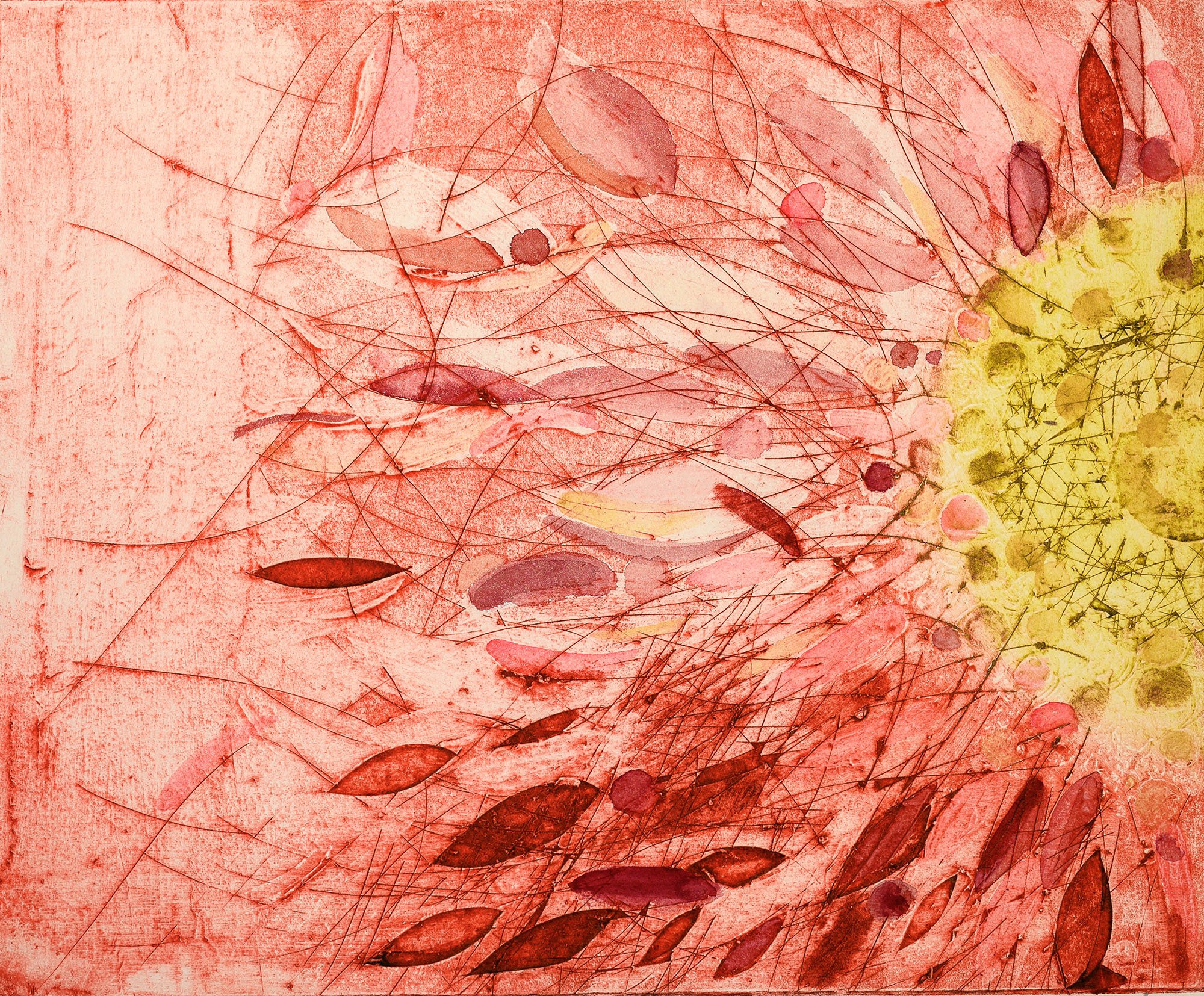 Petals, 32x42