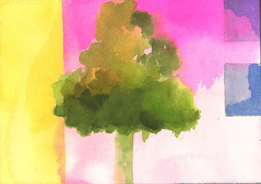 Plane Tree, Toulouse