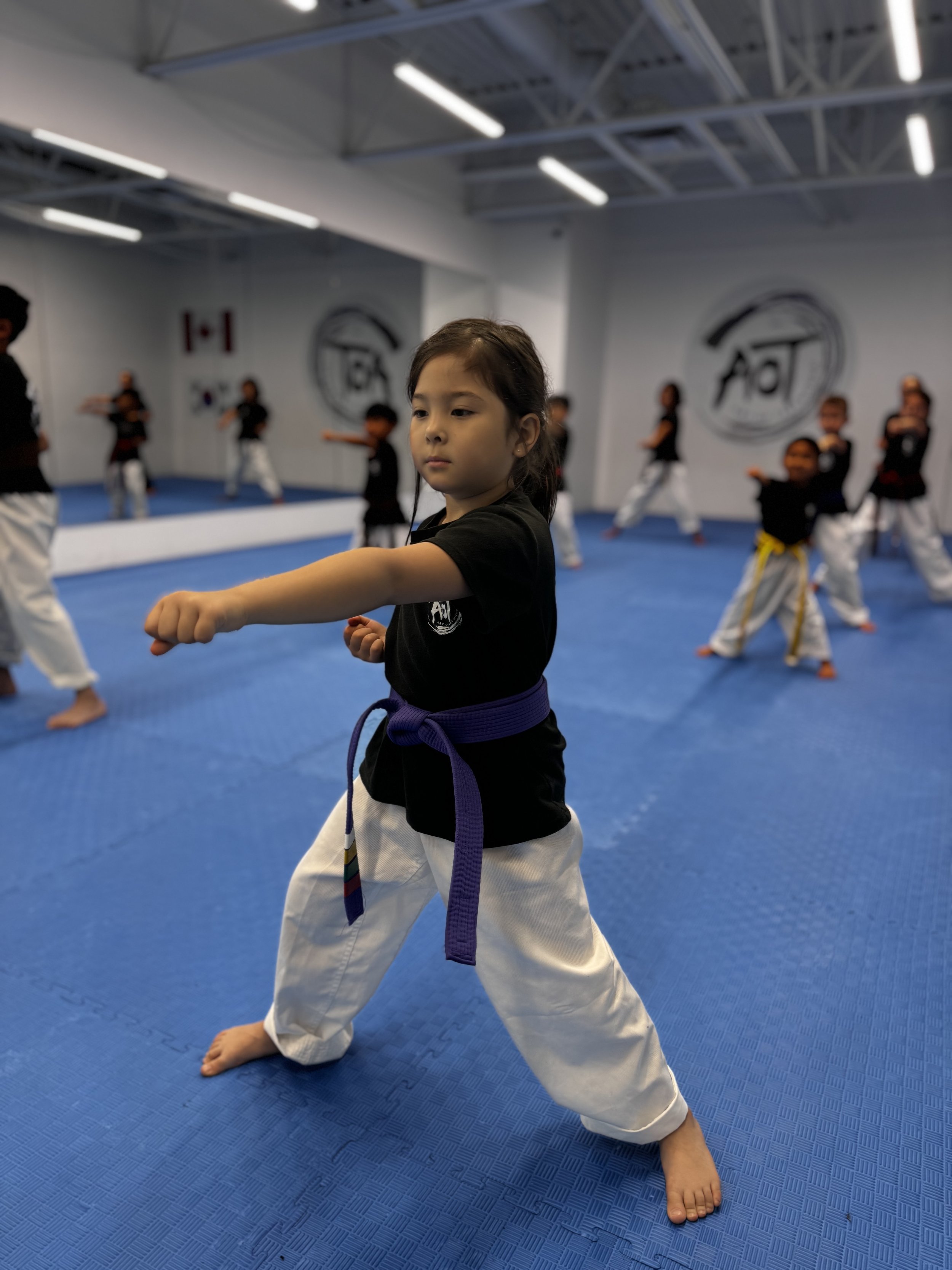 Taekwondo & Academic Success