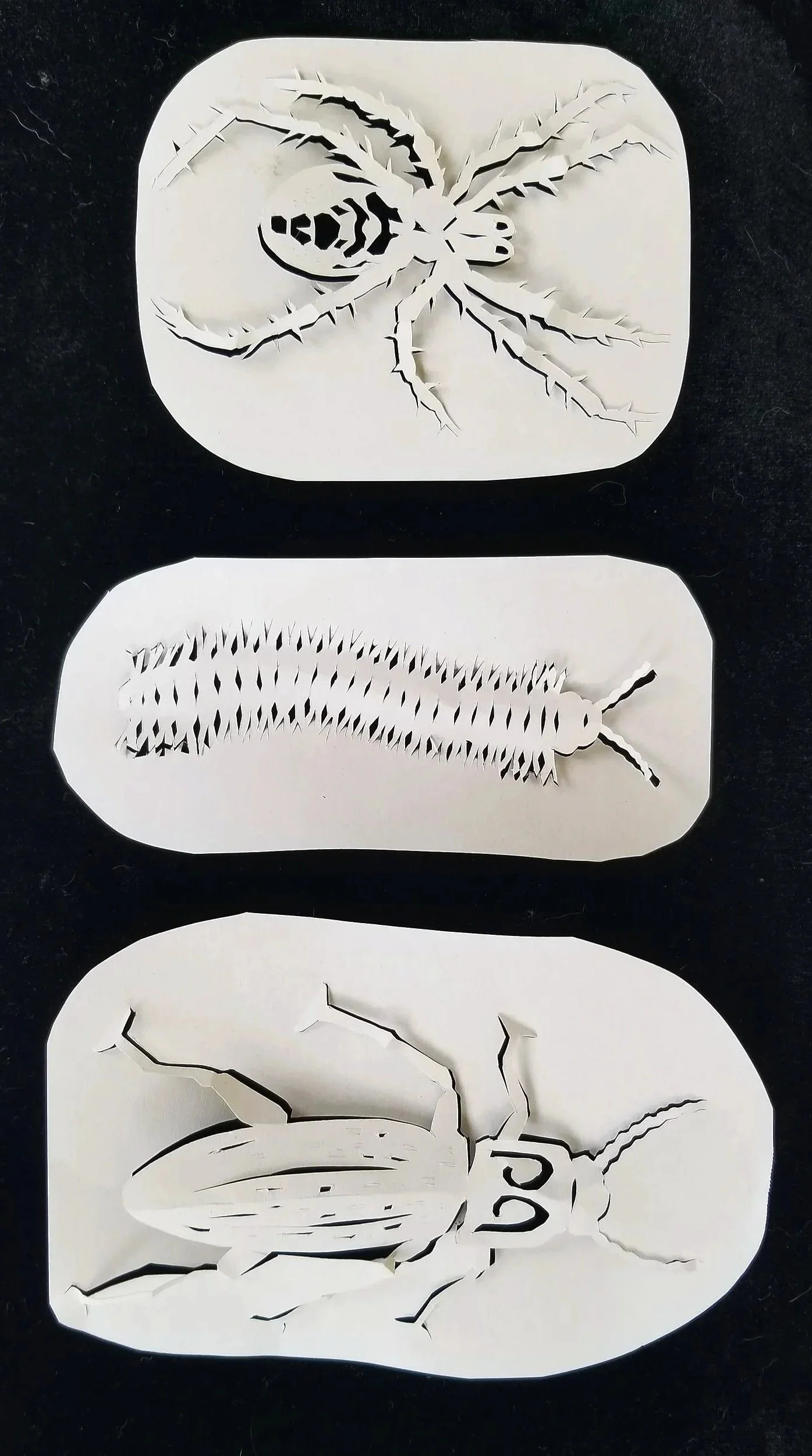 no bugs harmed in the making of this insectarium