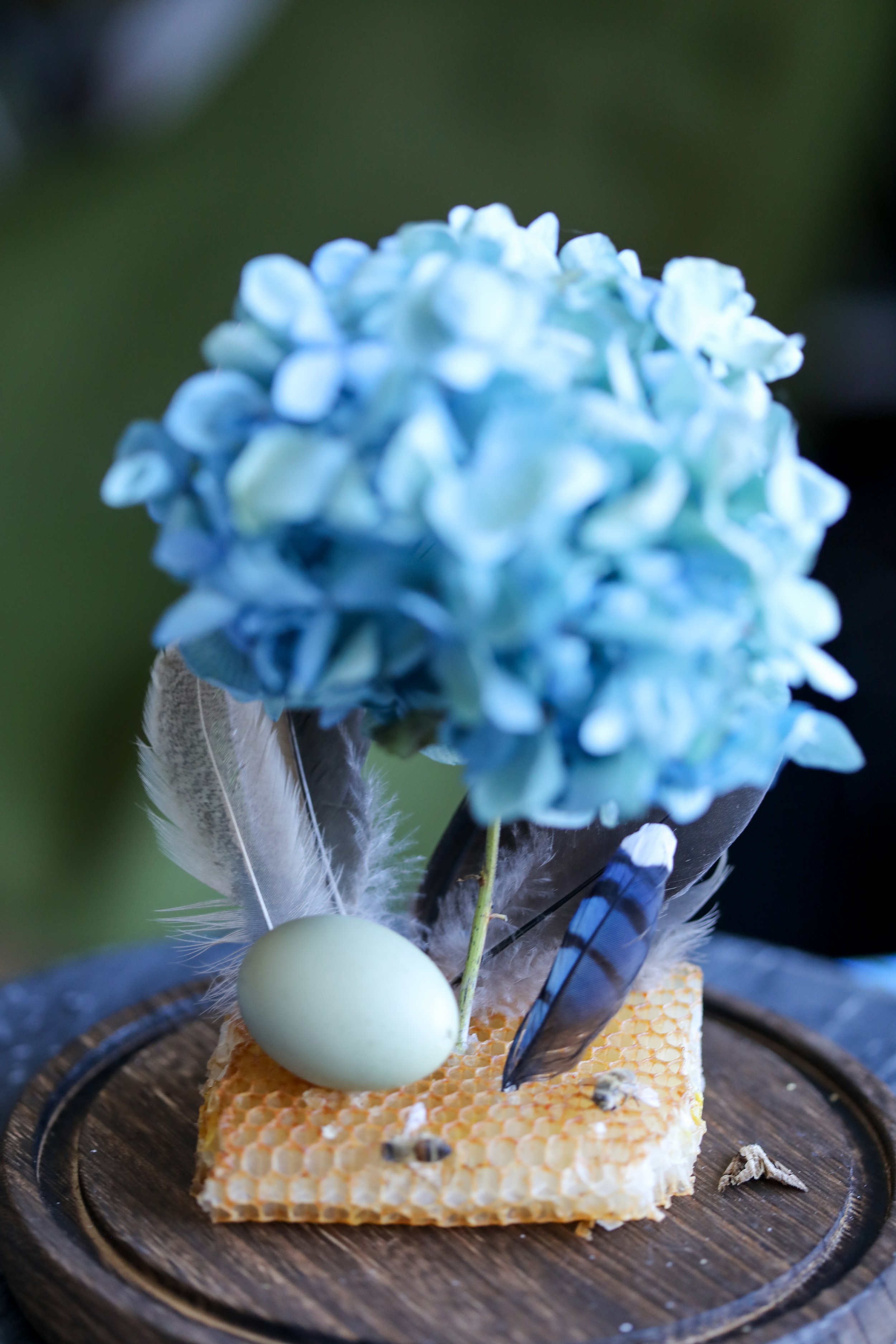 Feather and Egg--3.jpg