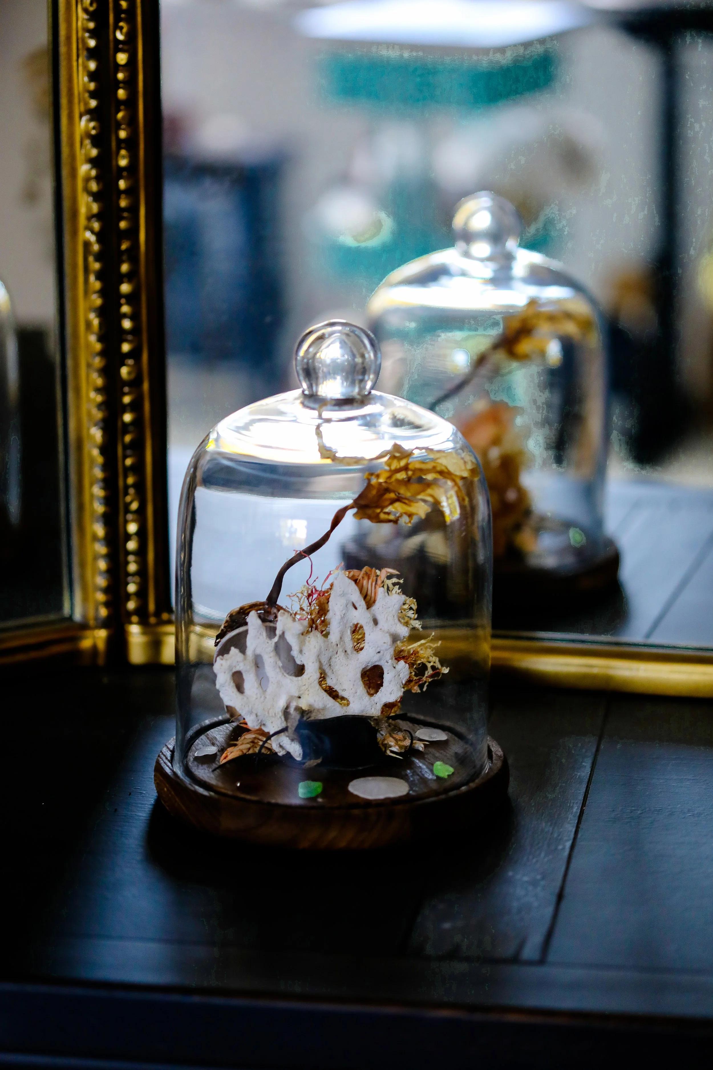 Crab Terrarium--6.jpg