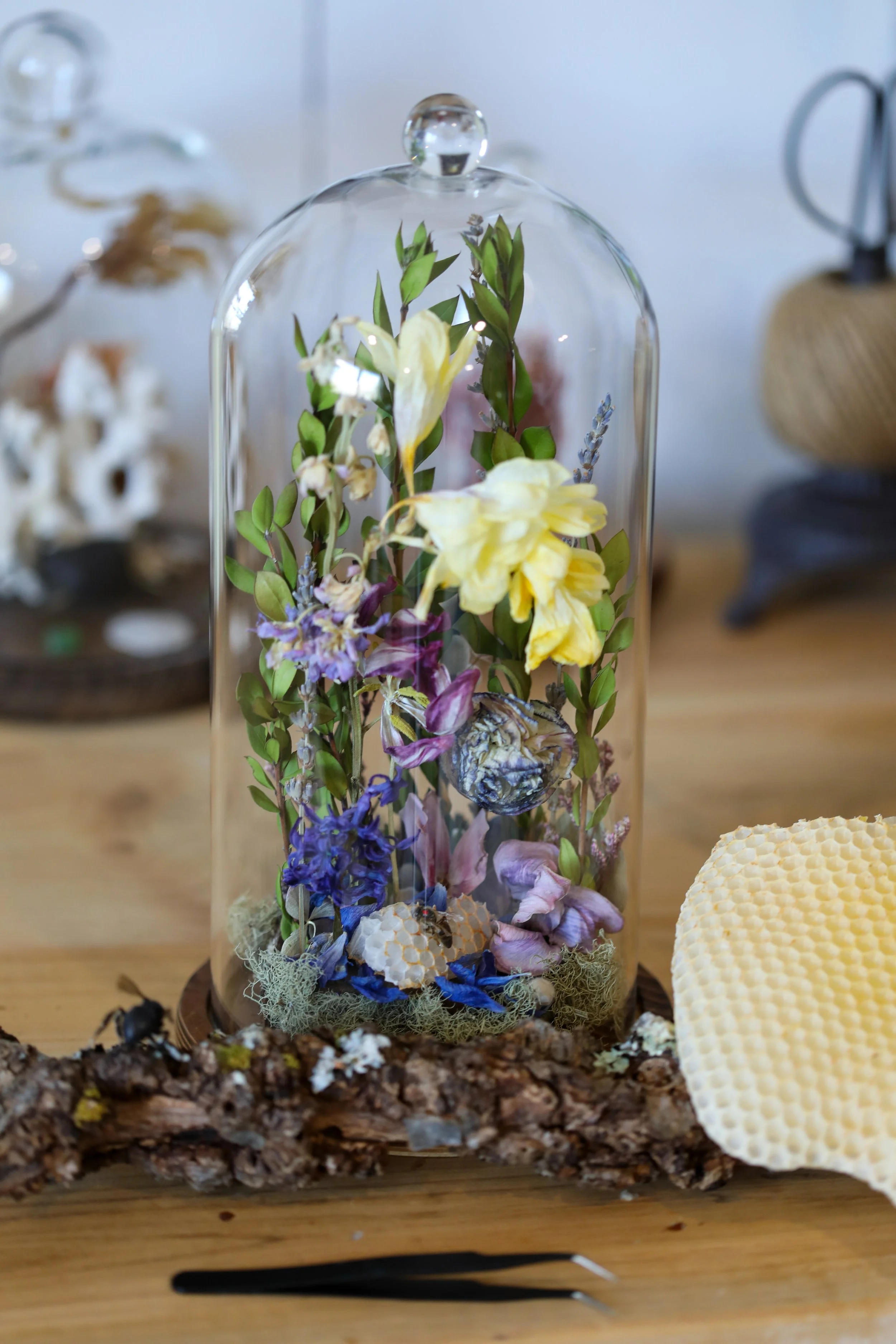 Queen of the Garden-06.jpg