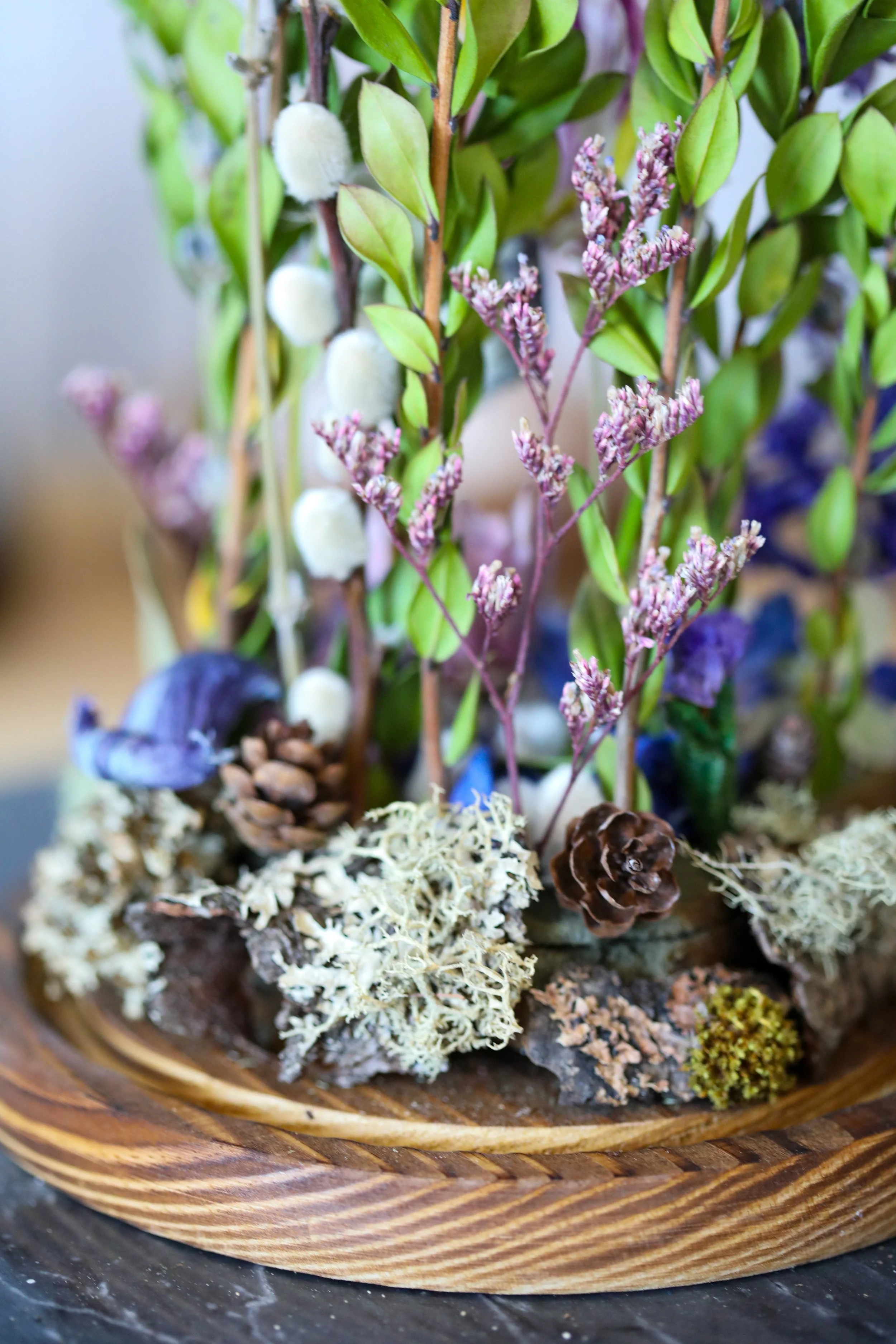 Queen of the Garden back.jpg